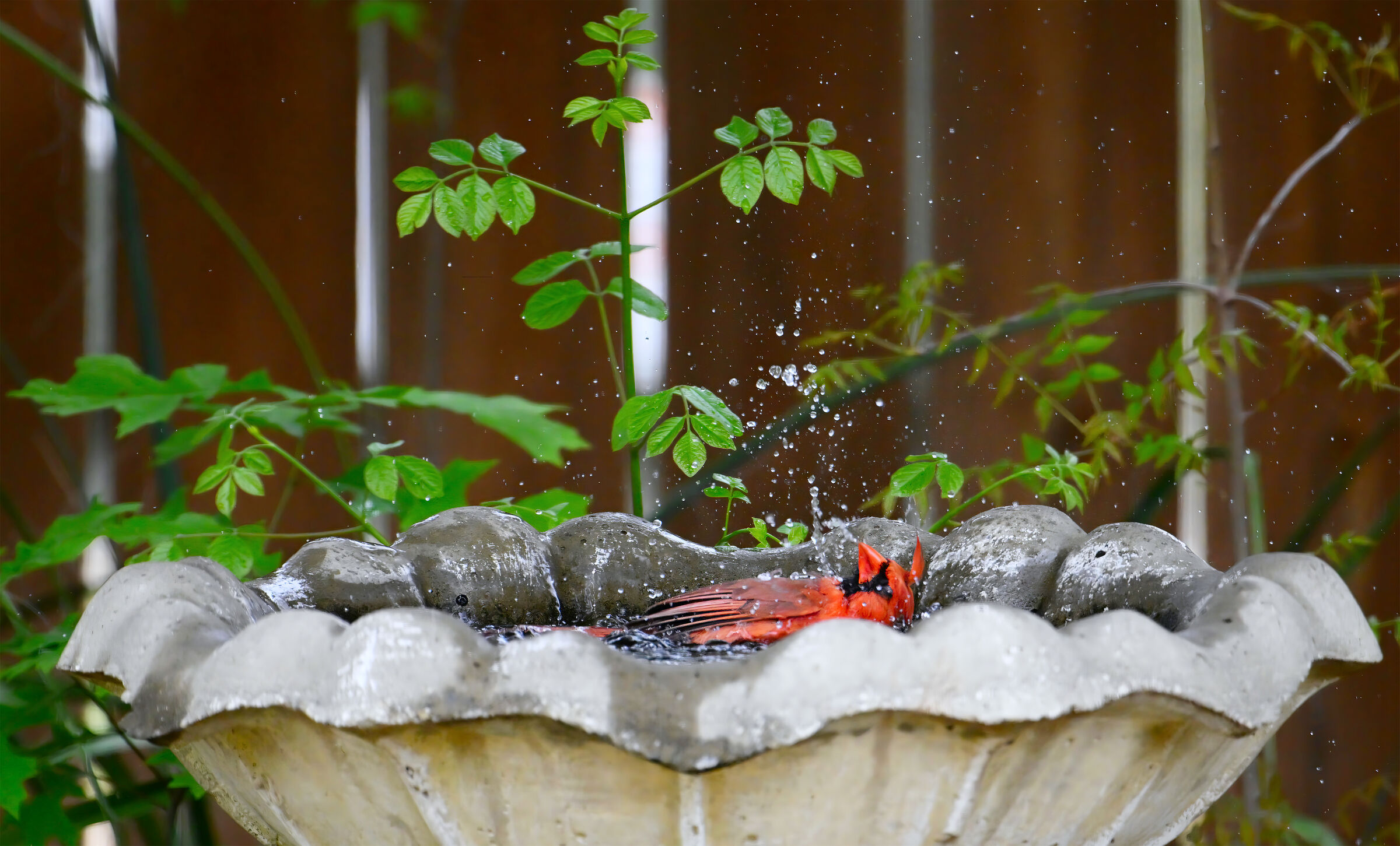 Apertura della stagione balneare...