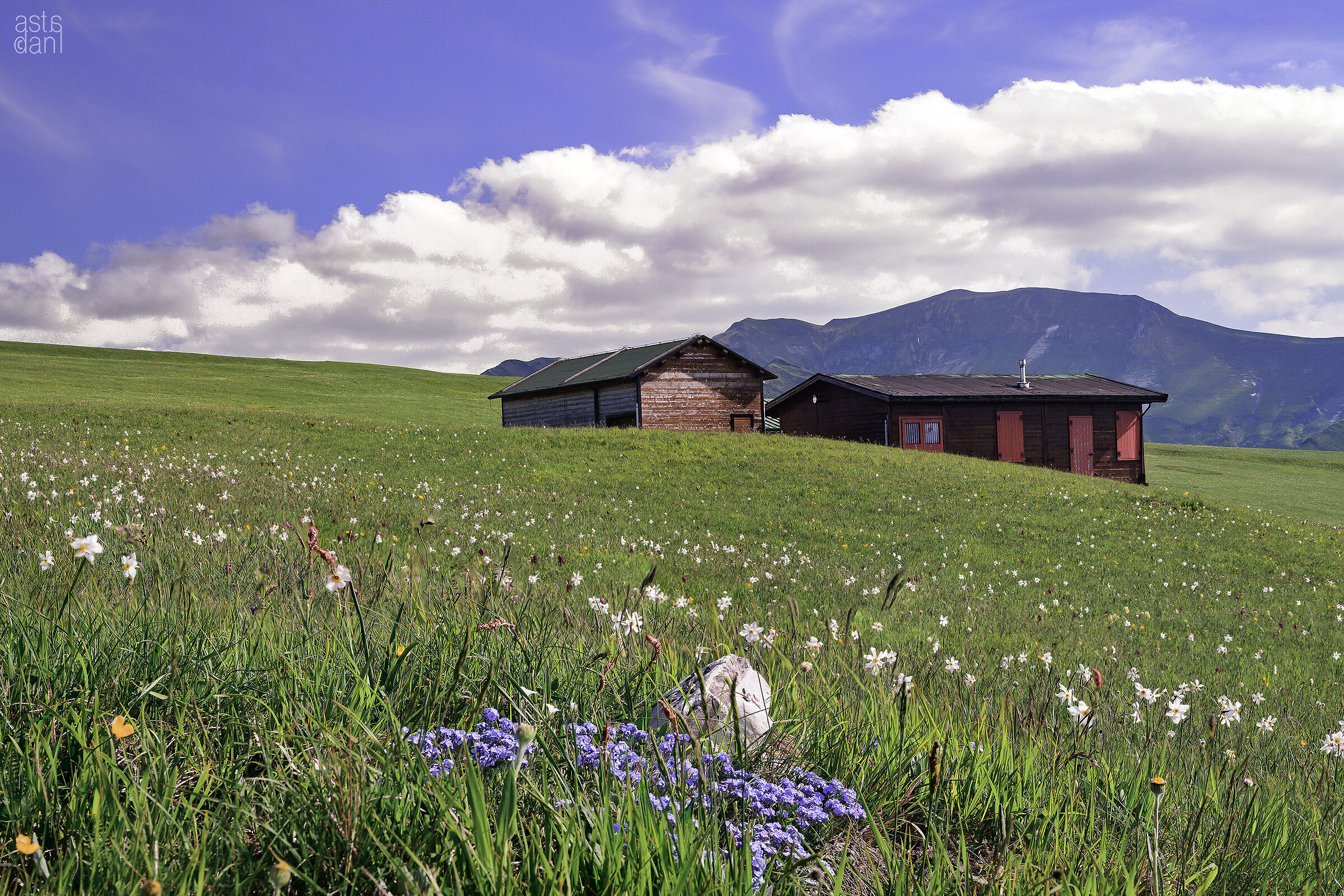 Heidi dietro la casetta