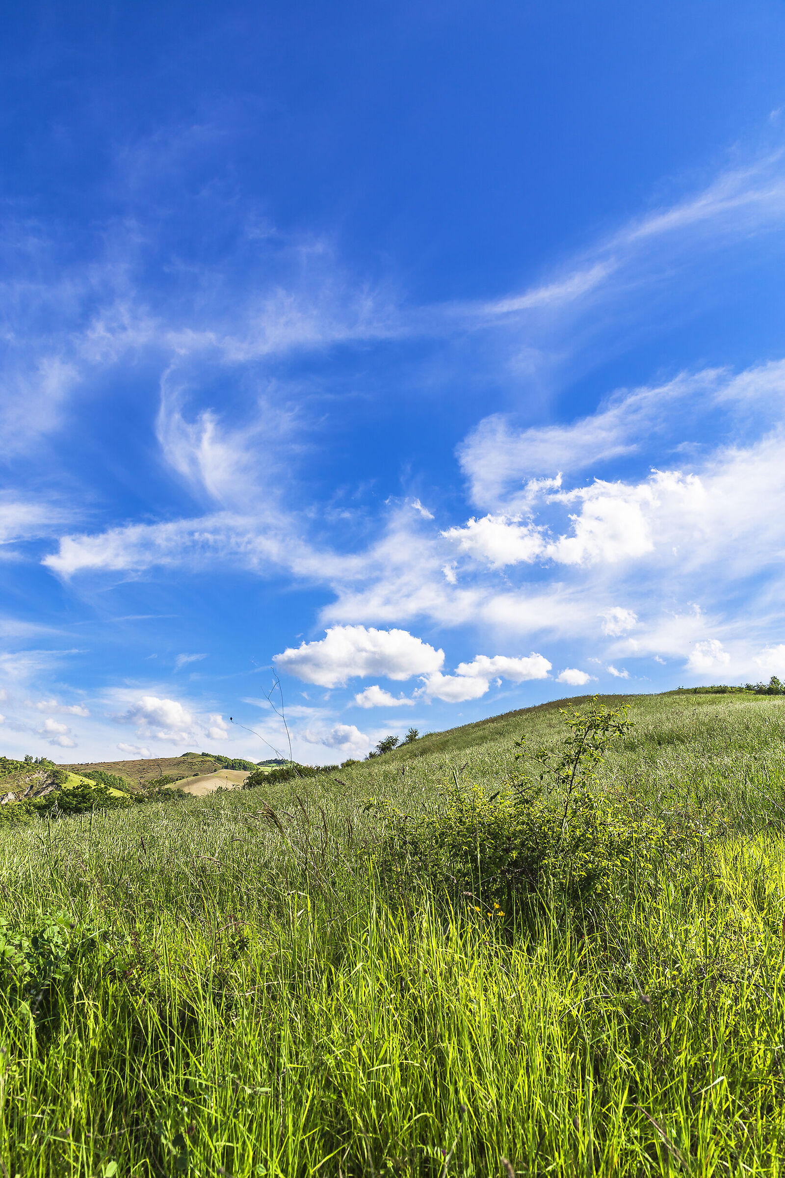 Apennines
