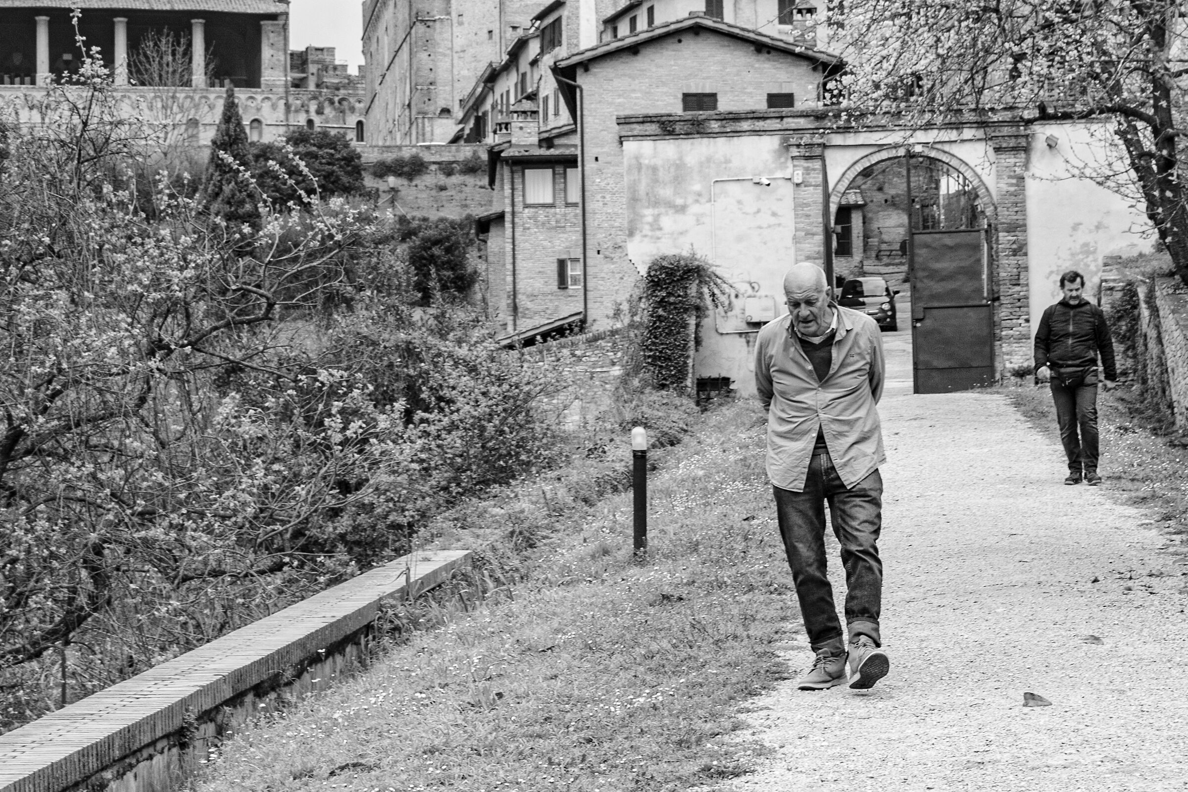 Scendendo verso l'orto