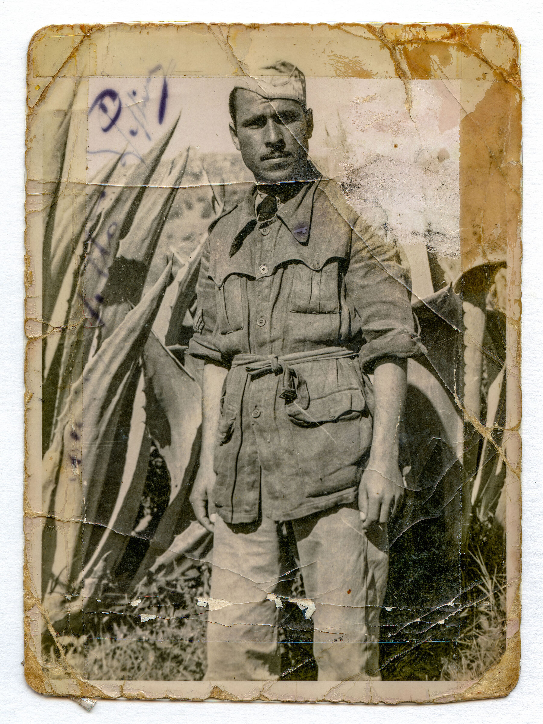 Radici. La guerra degli Italiani. 1940, Nord Africa