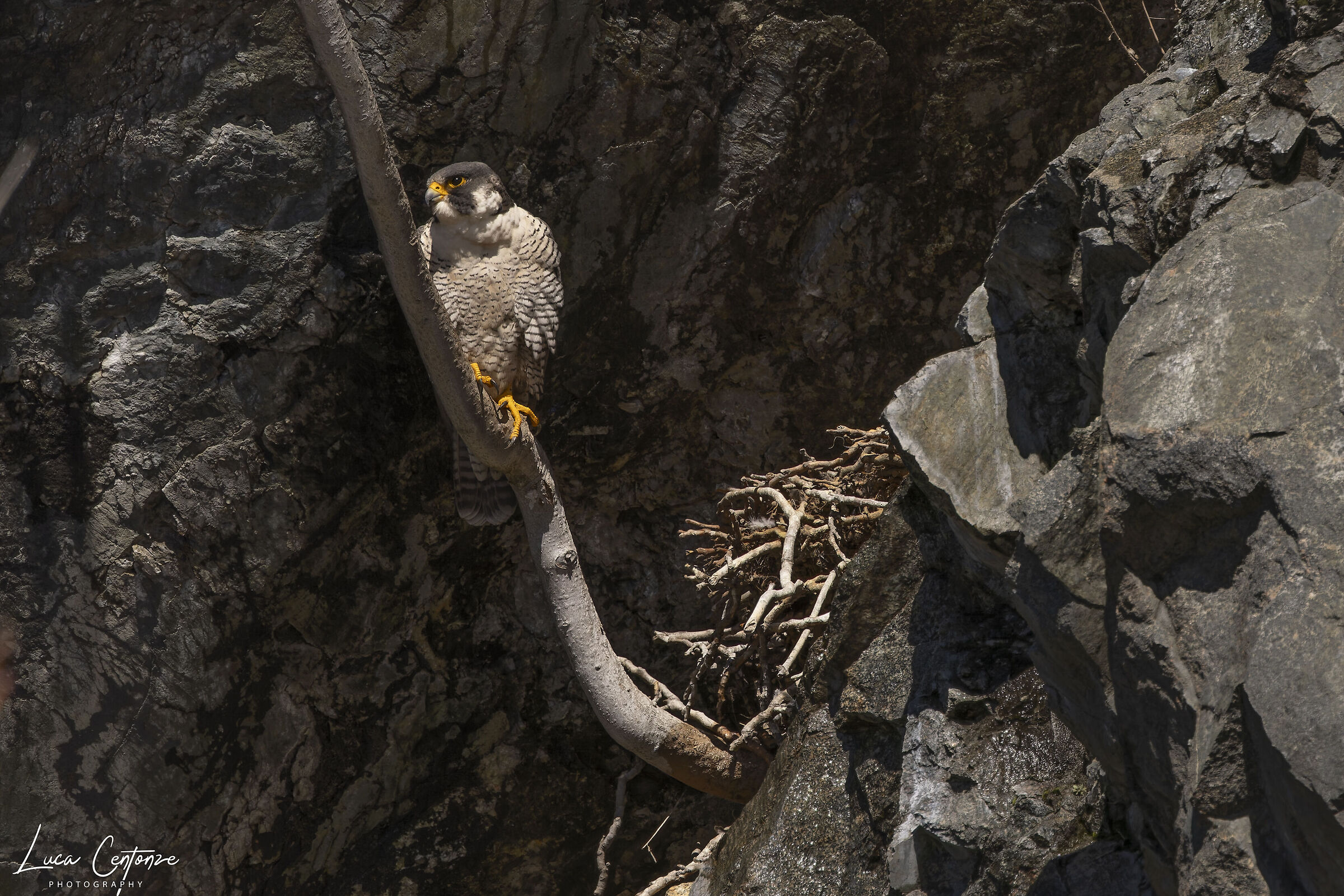 e' tempo di metter su casa