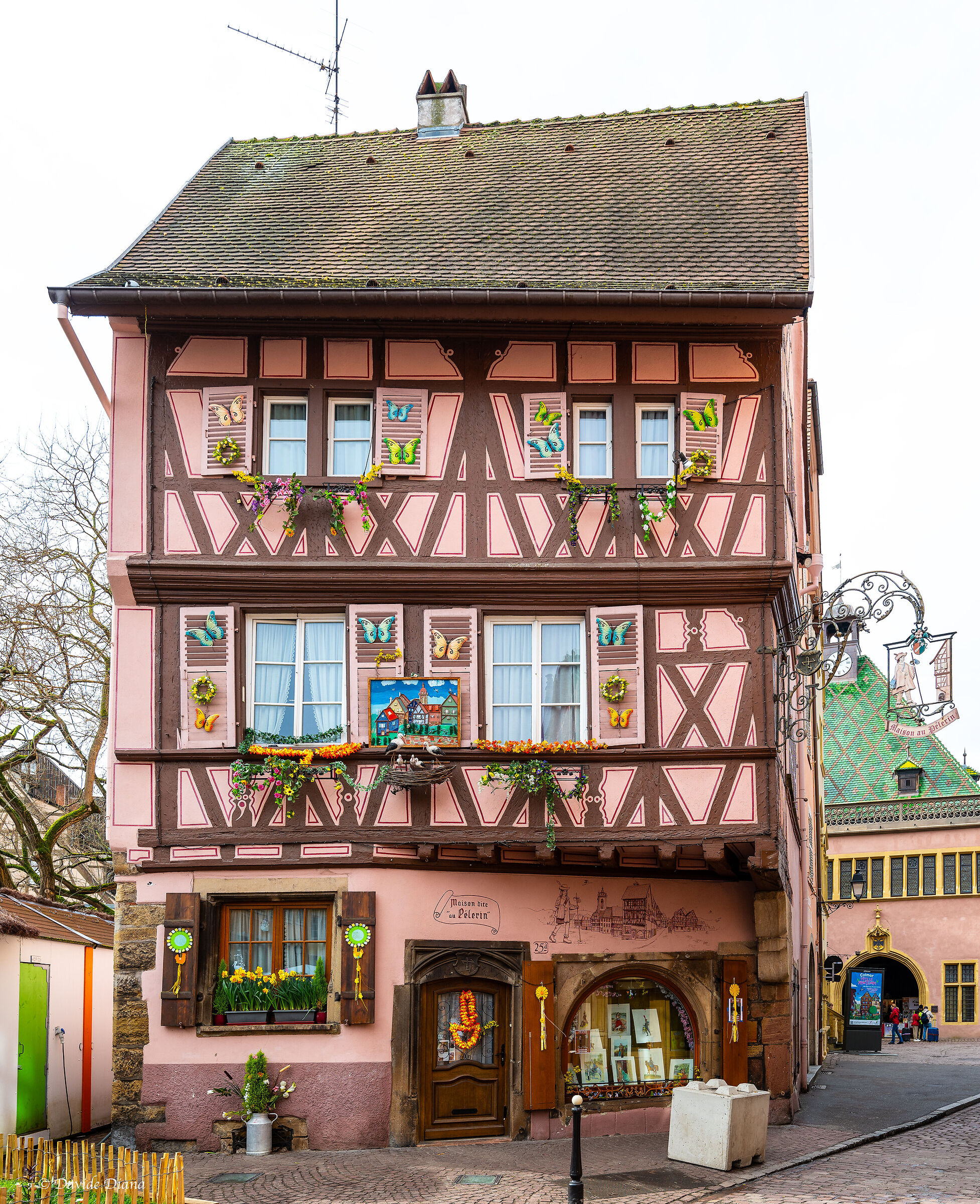 Colmar - Alsace