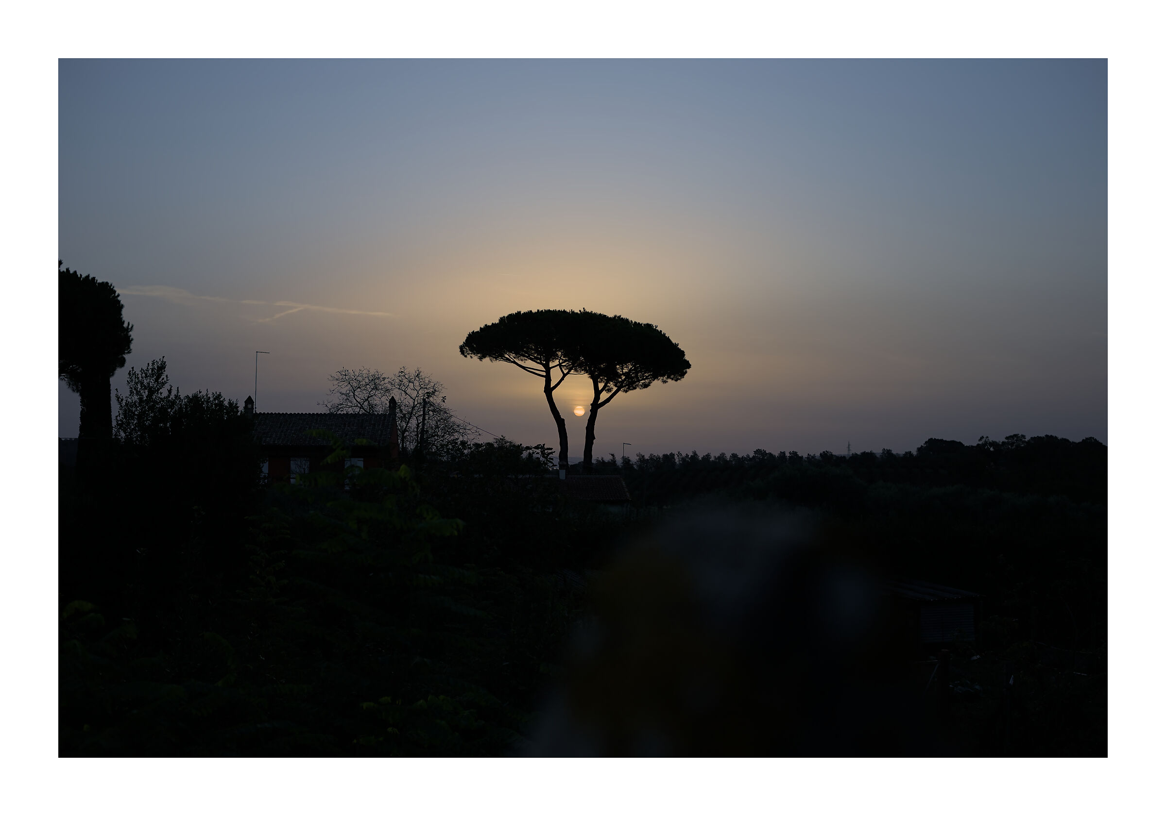 Un timido sole autunnale incastonato tra i rami