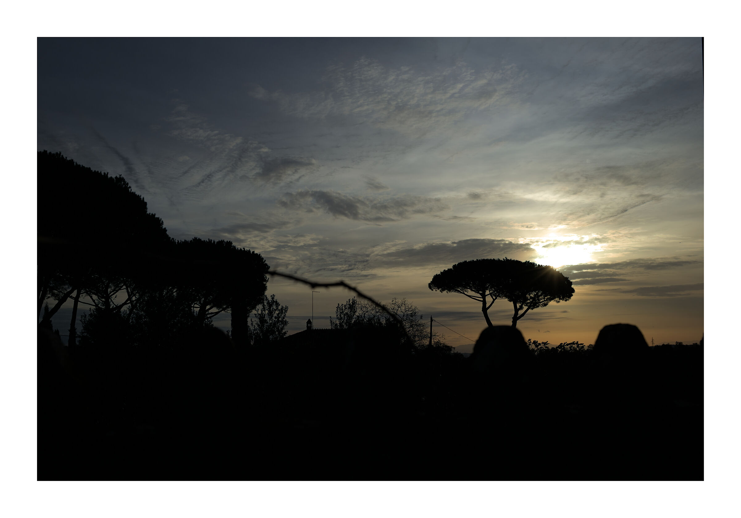 Un timido sole autunnale spunta appena dai rami