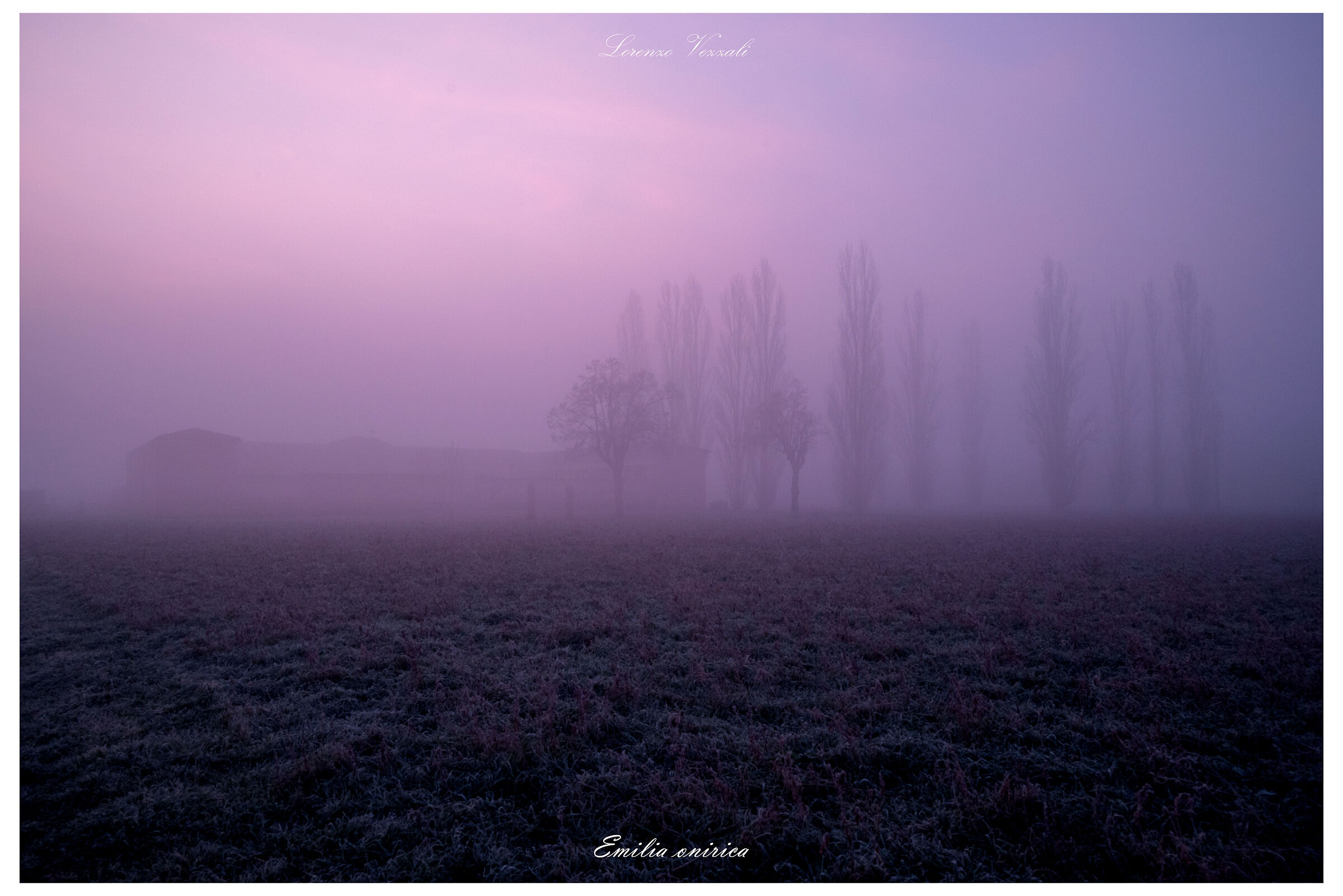 Emilia onirica