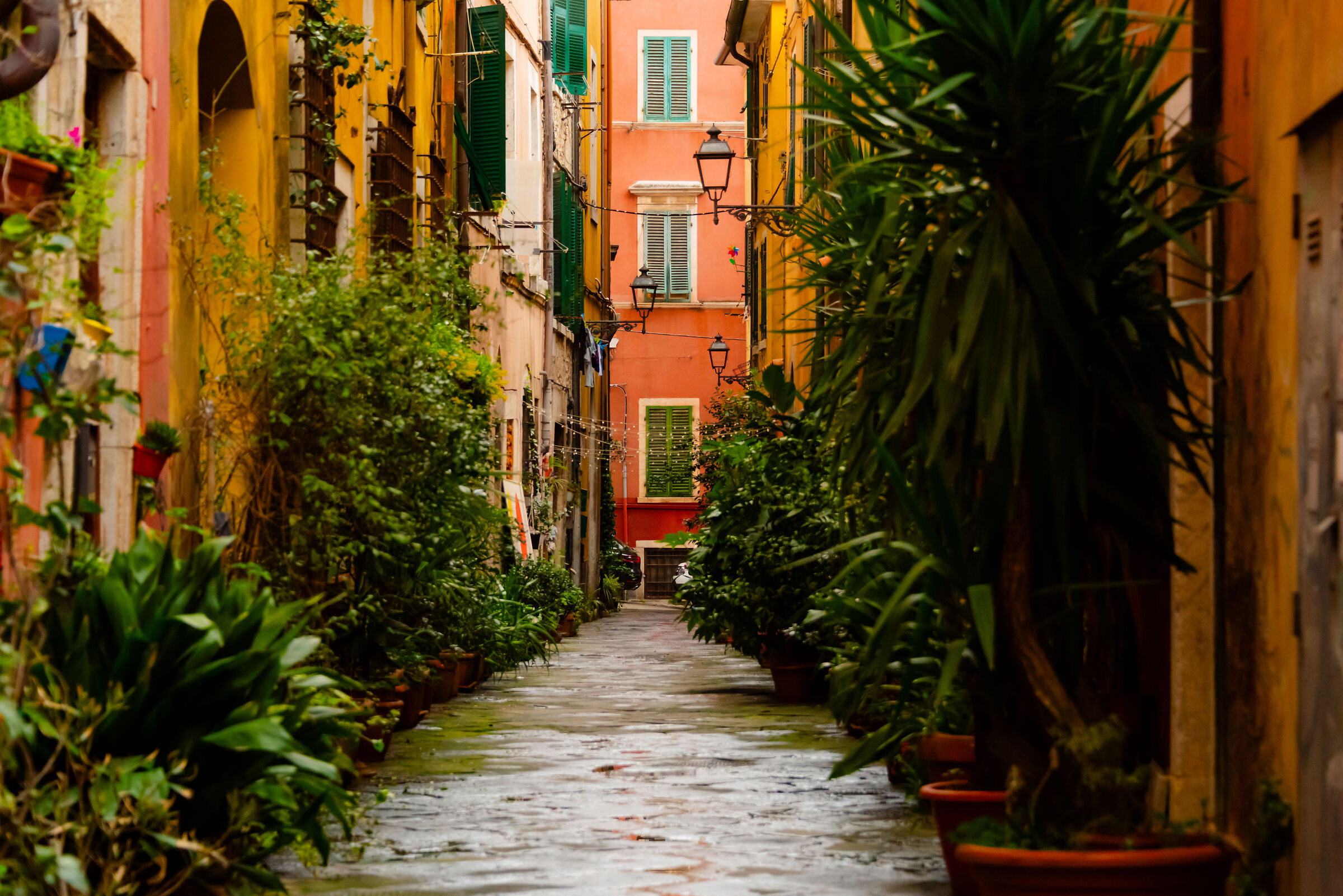 Vicoletto a Carrara vecchia, Carrara (MS)