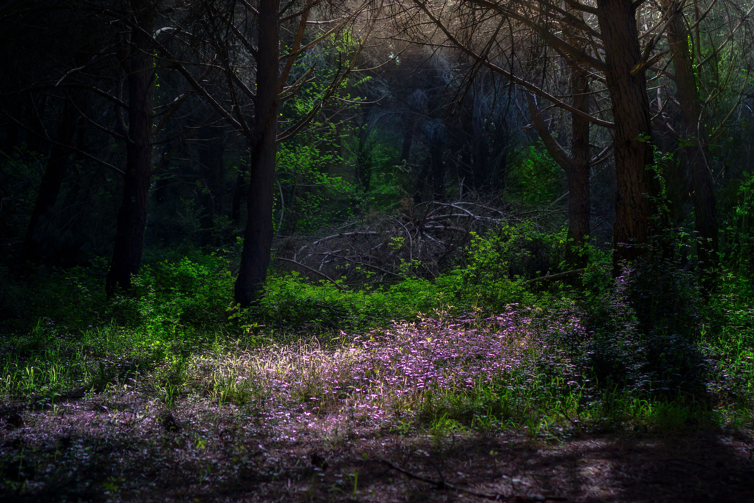 The world of Goblins