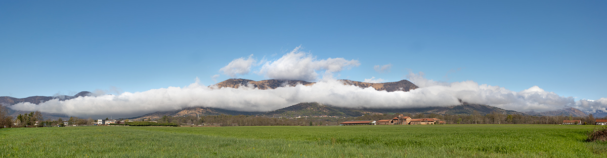 A morning near Givoletto