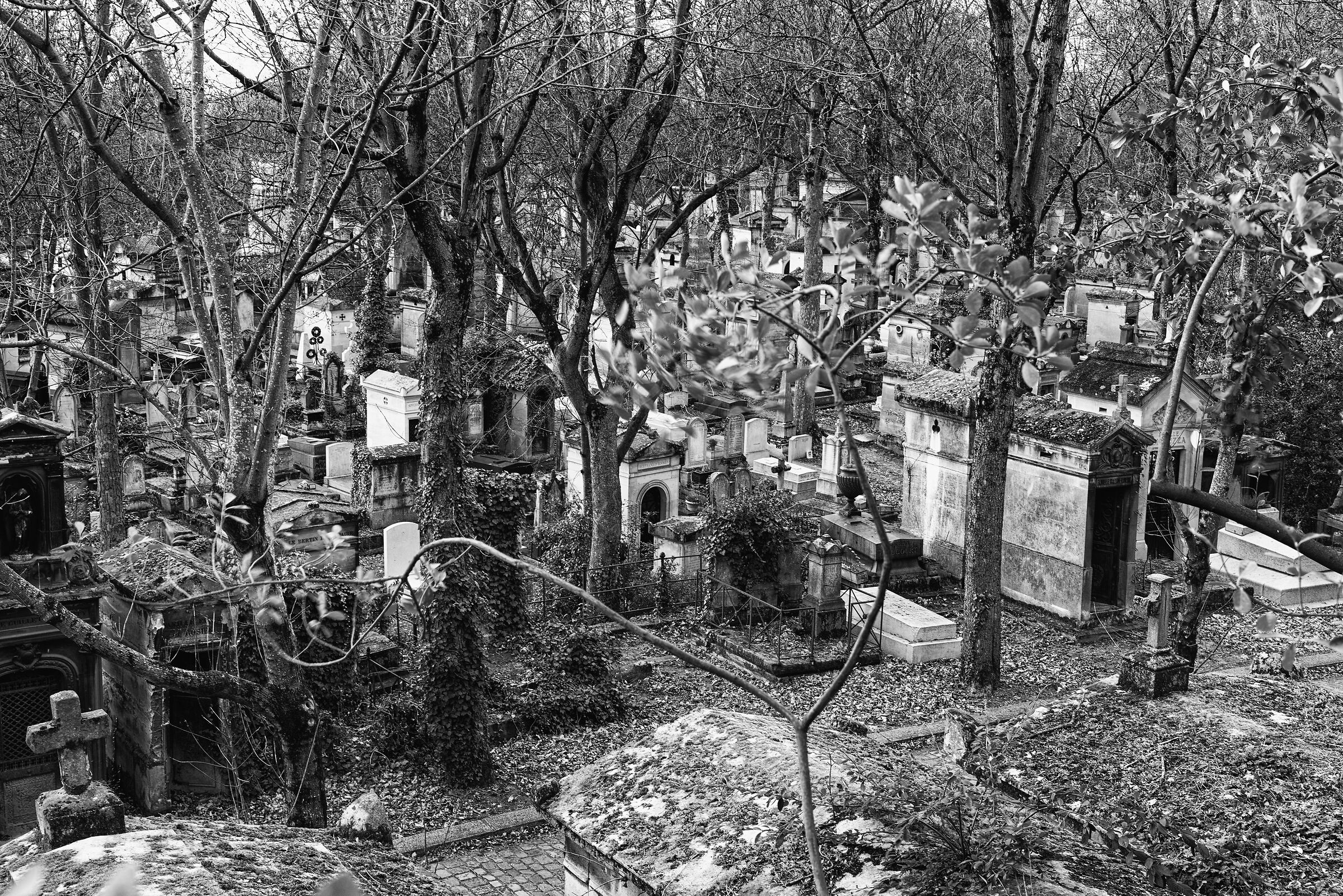 Cemetery Pere la chaise