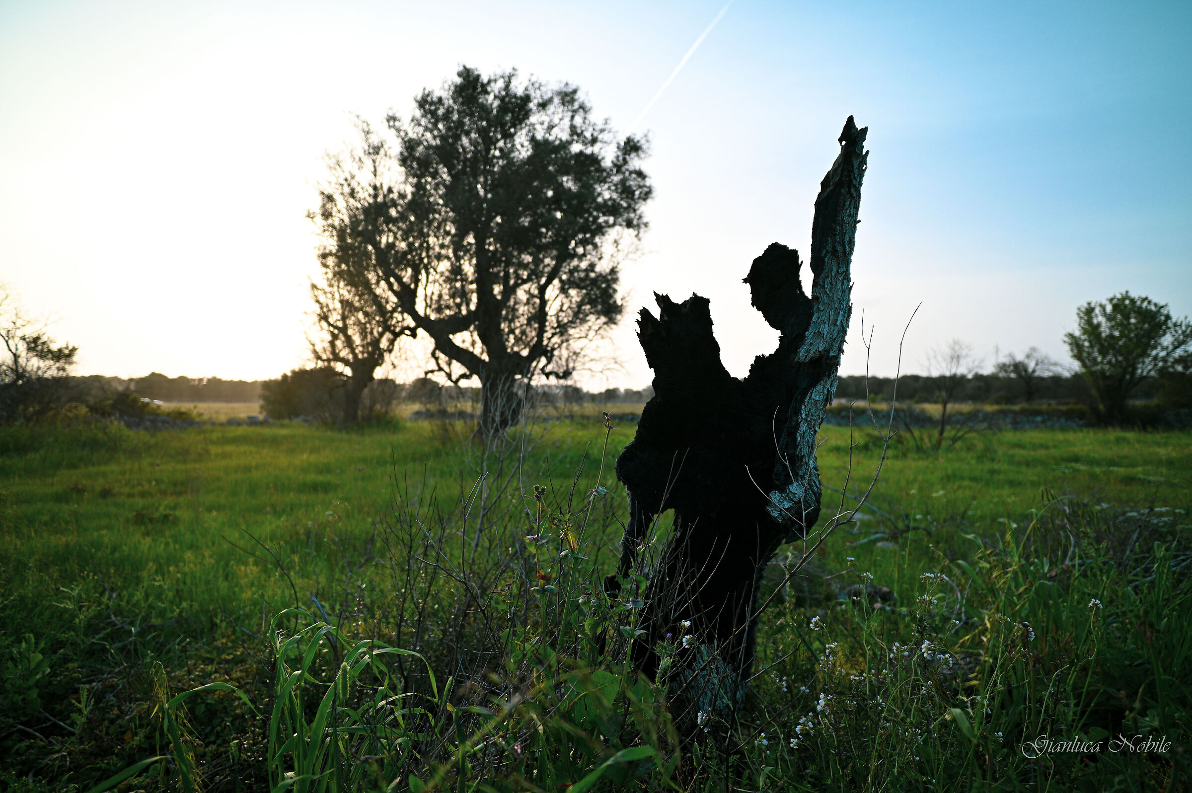 il tango della Natura