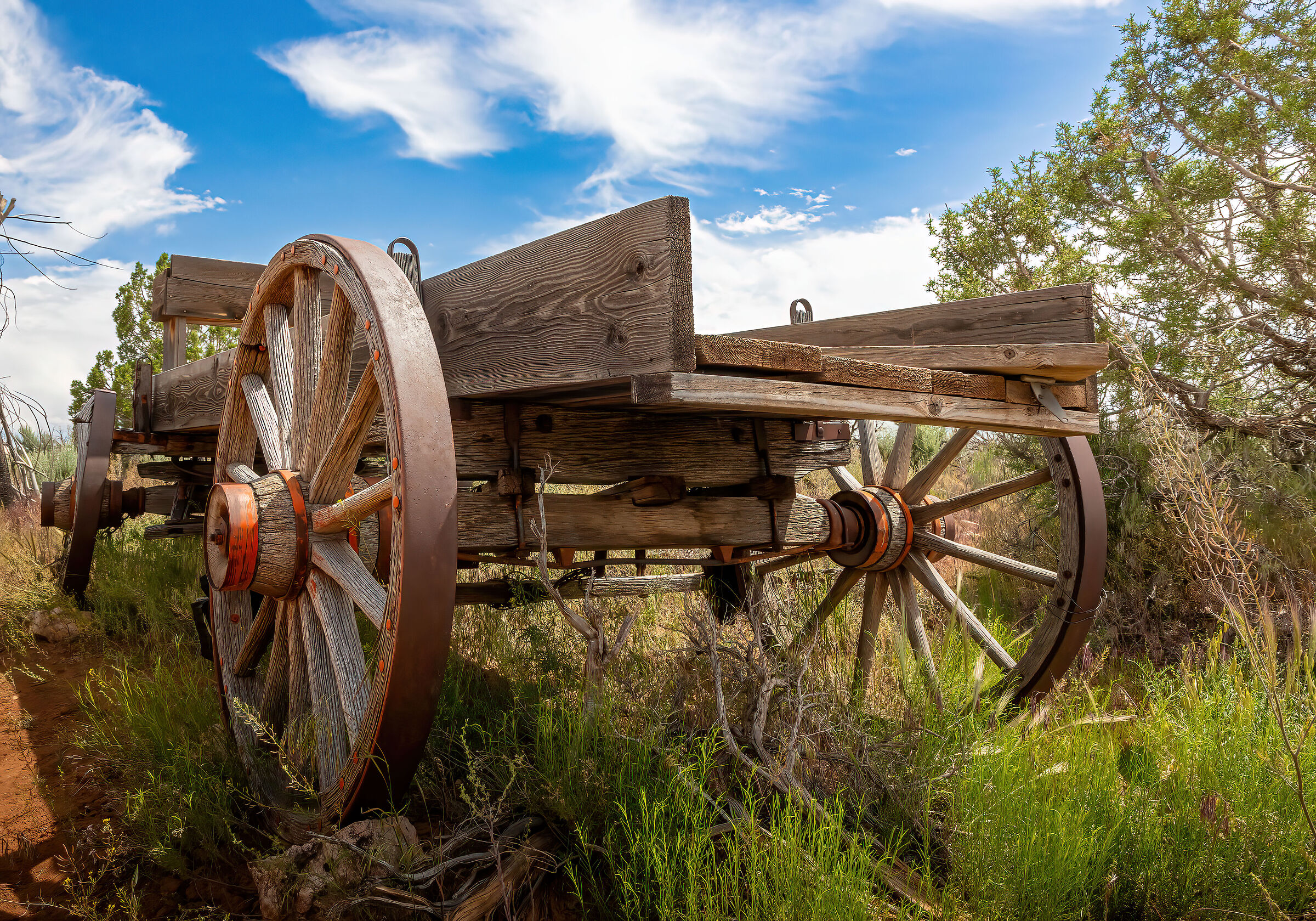 Calesse nelle praterie