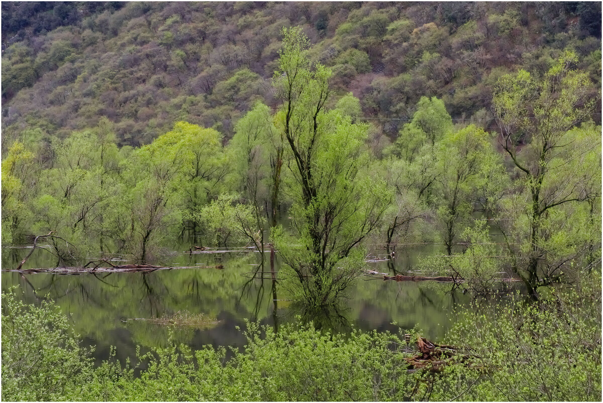 Biotopo Lago di Loppio