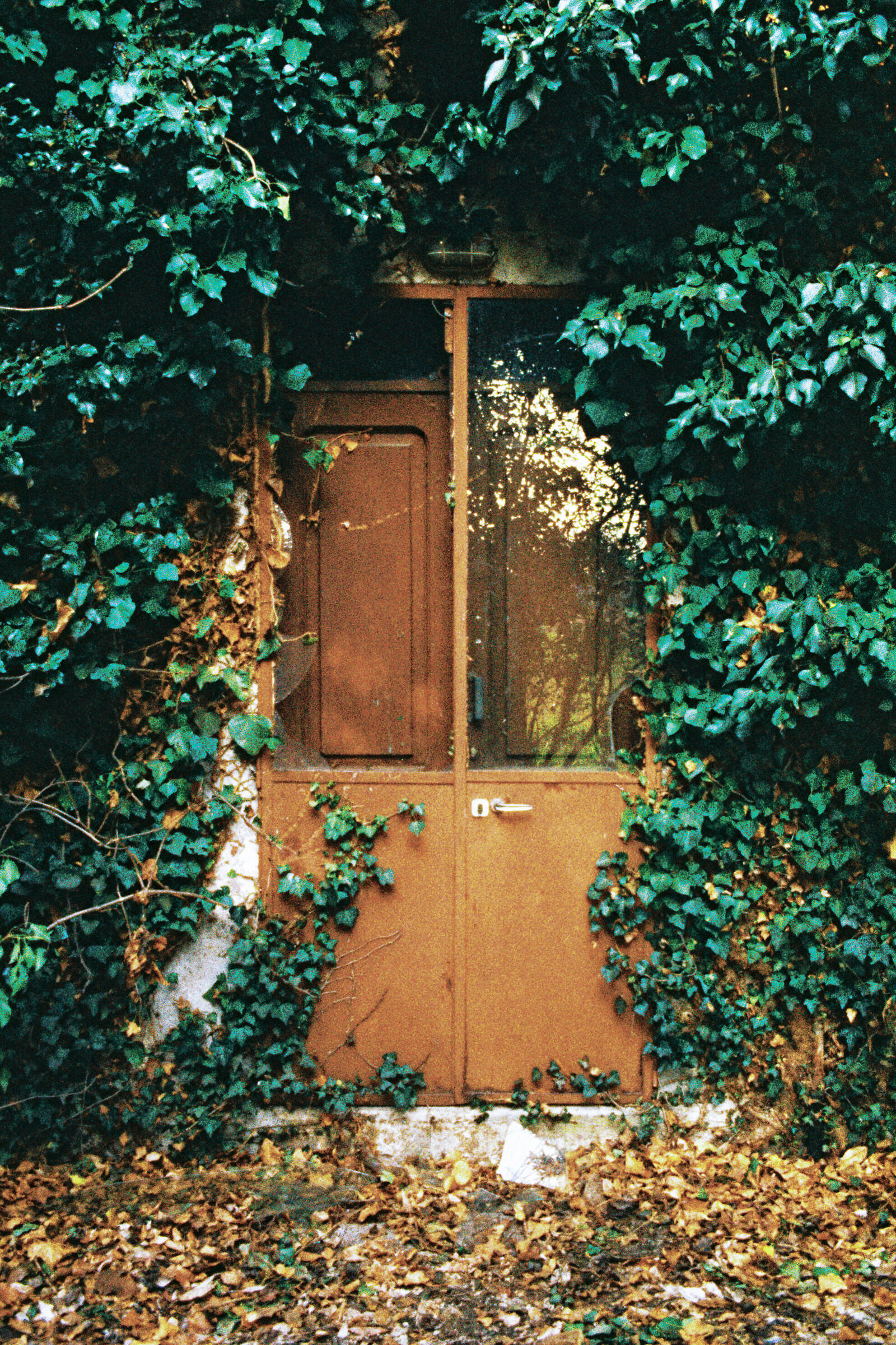 Door