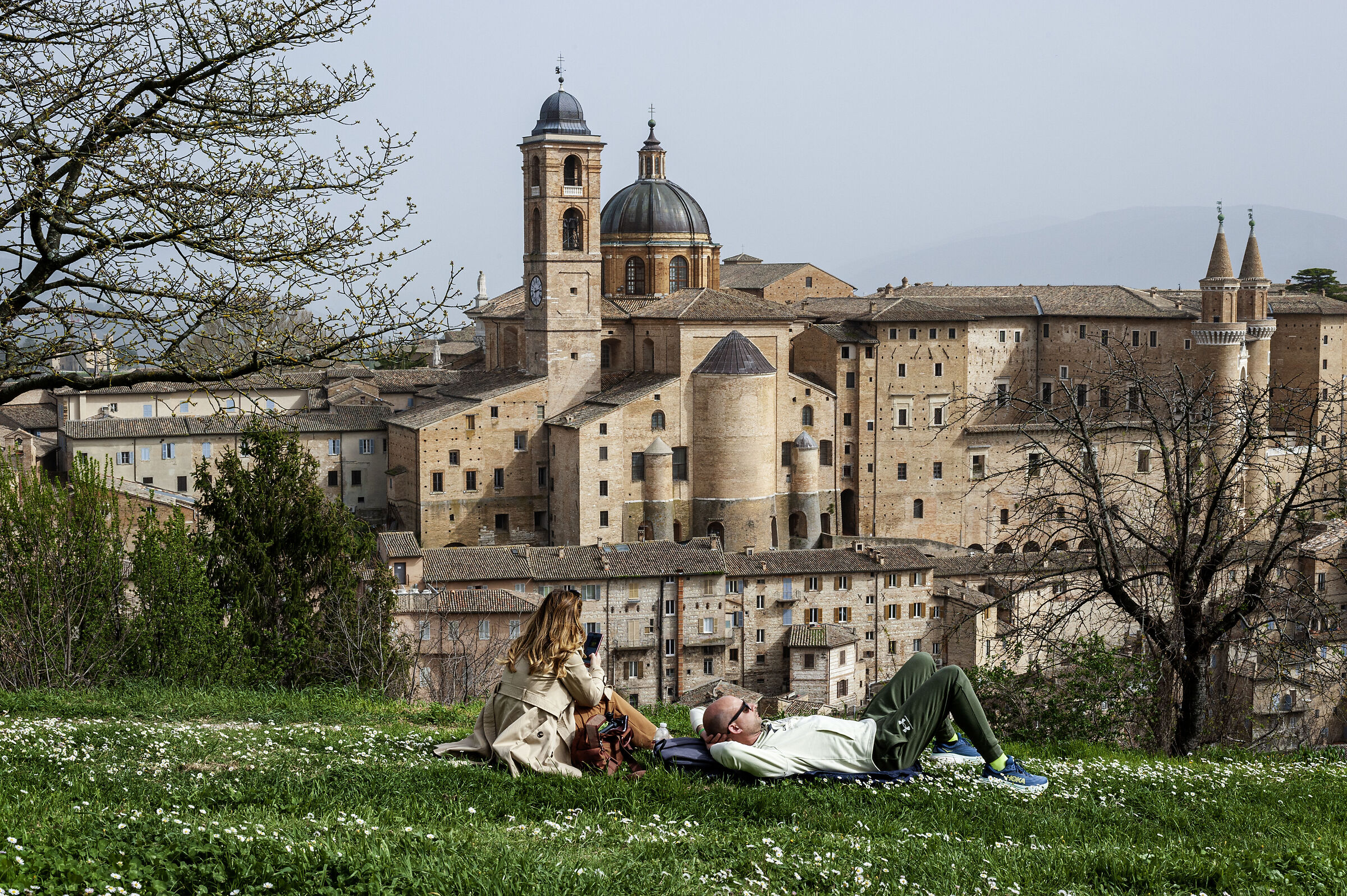 Urbino