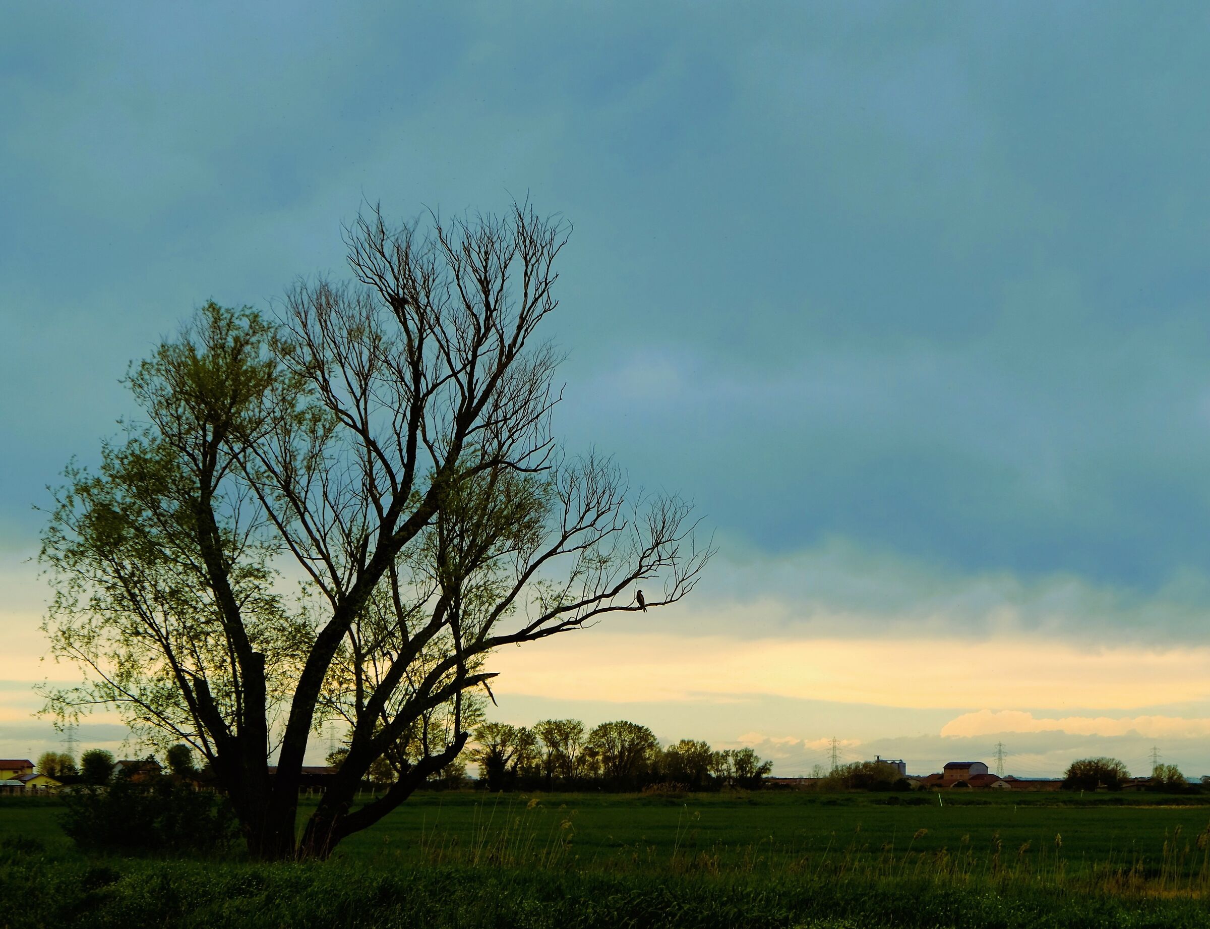 After the Storm