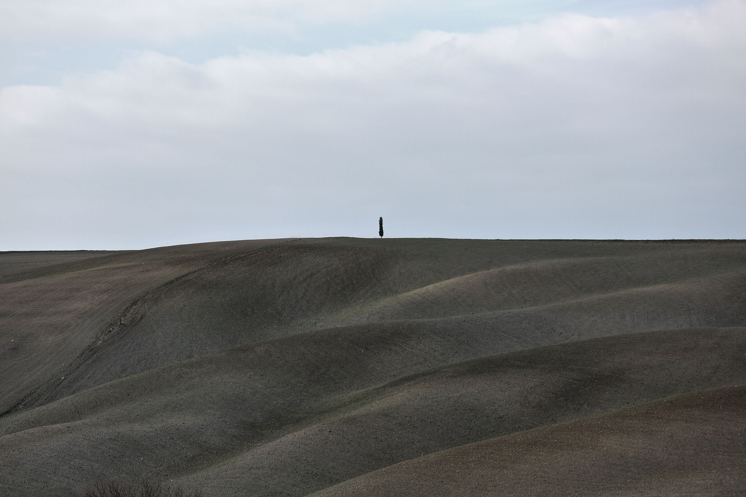 Val d'Orcia Copyright ©