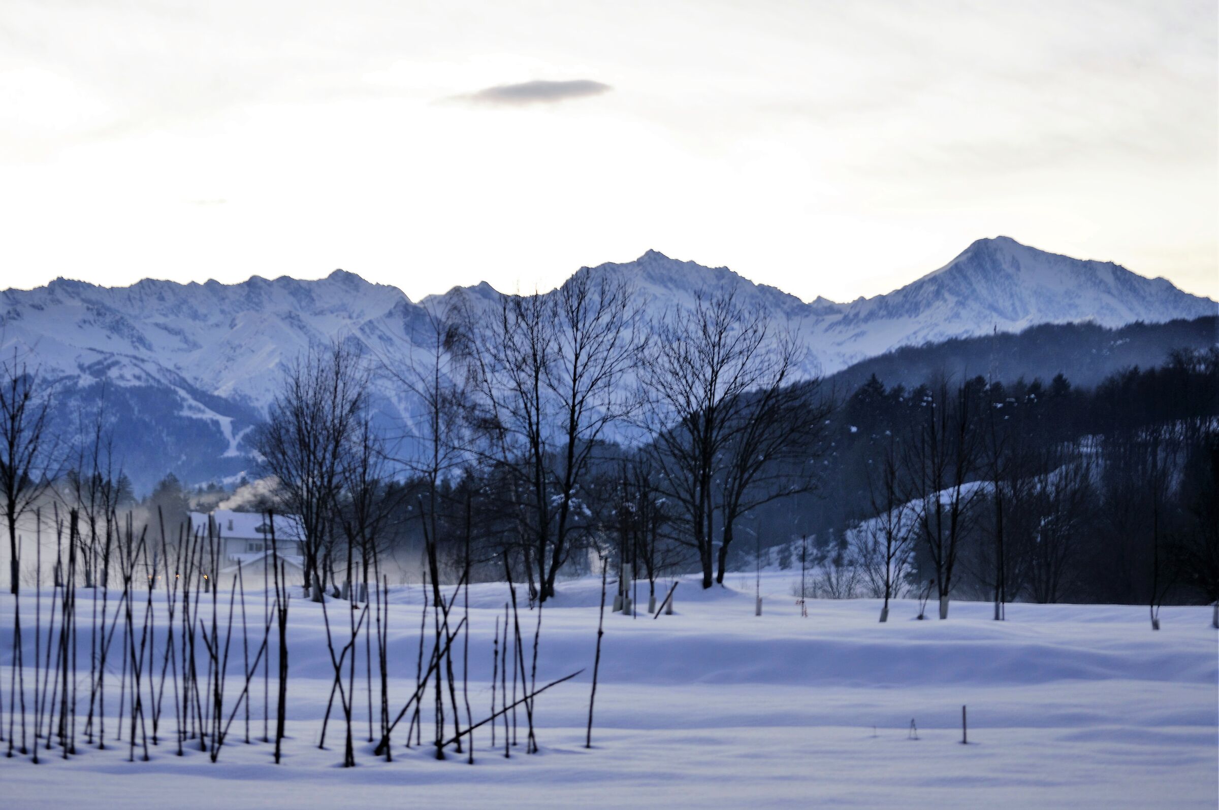 winter