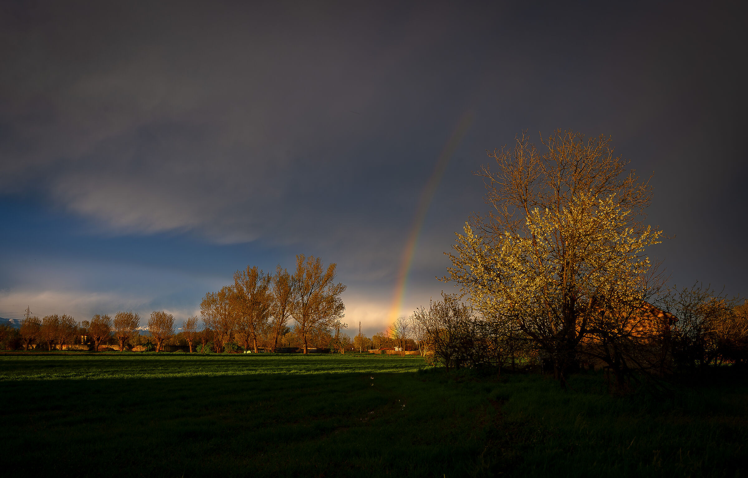 After the Thunderstorm