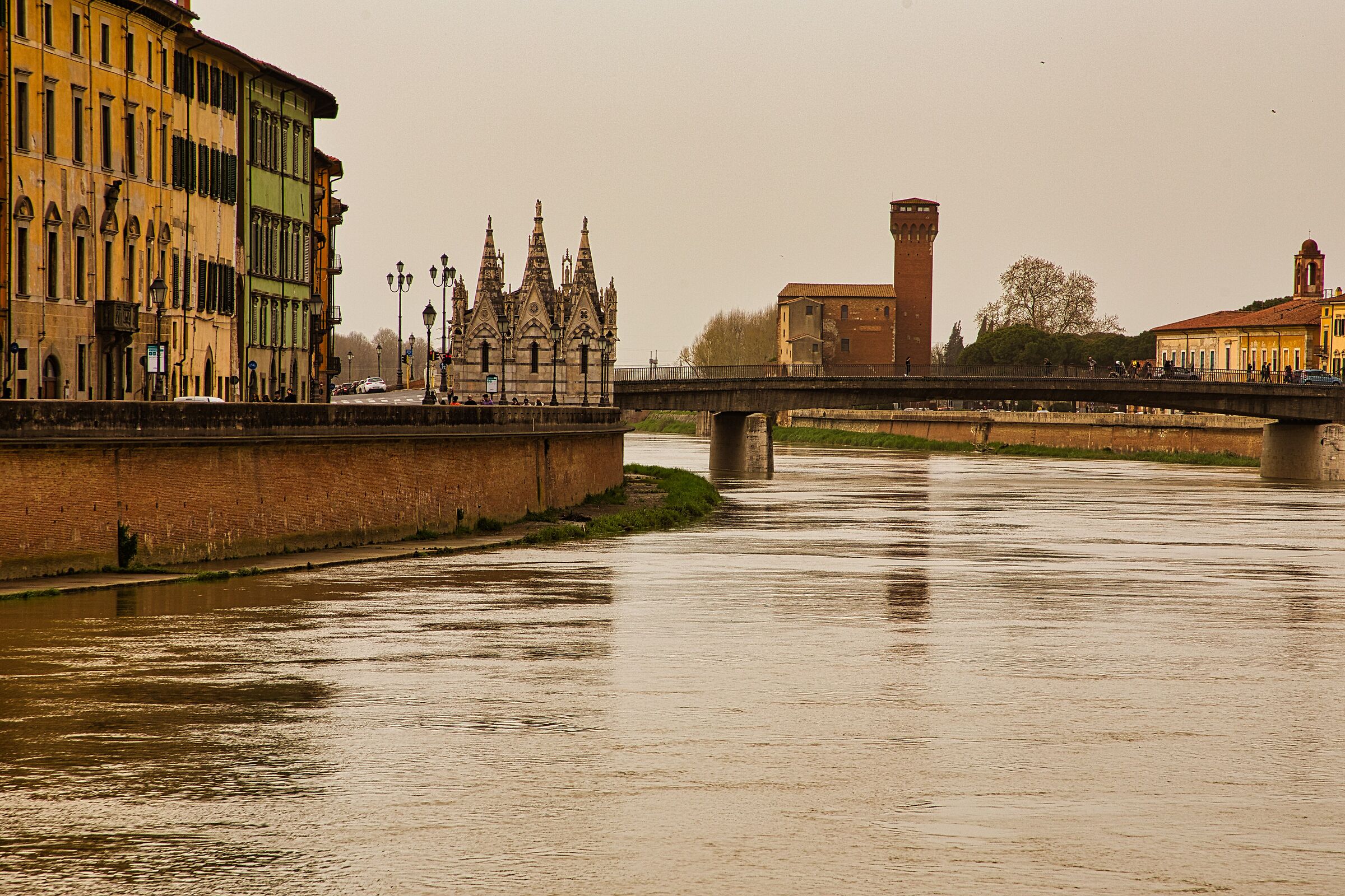 Pisa