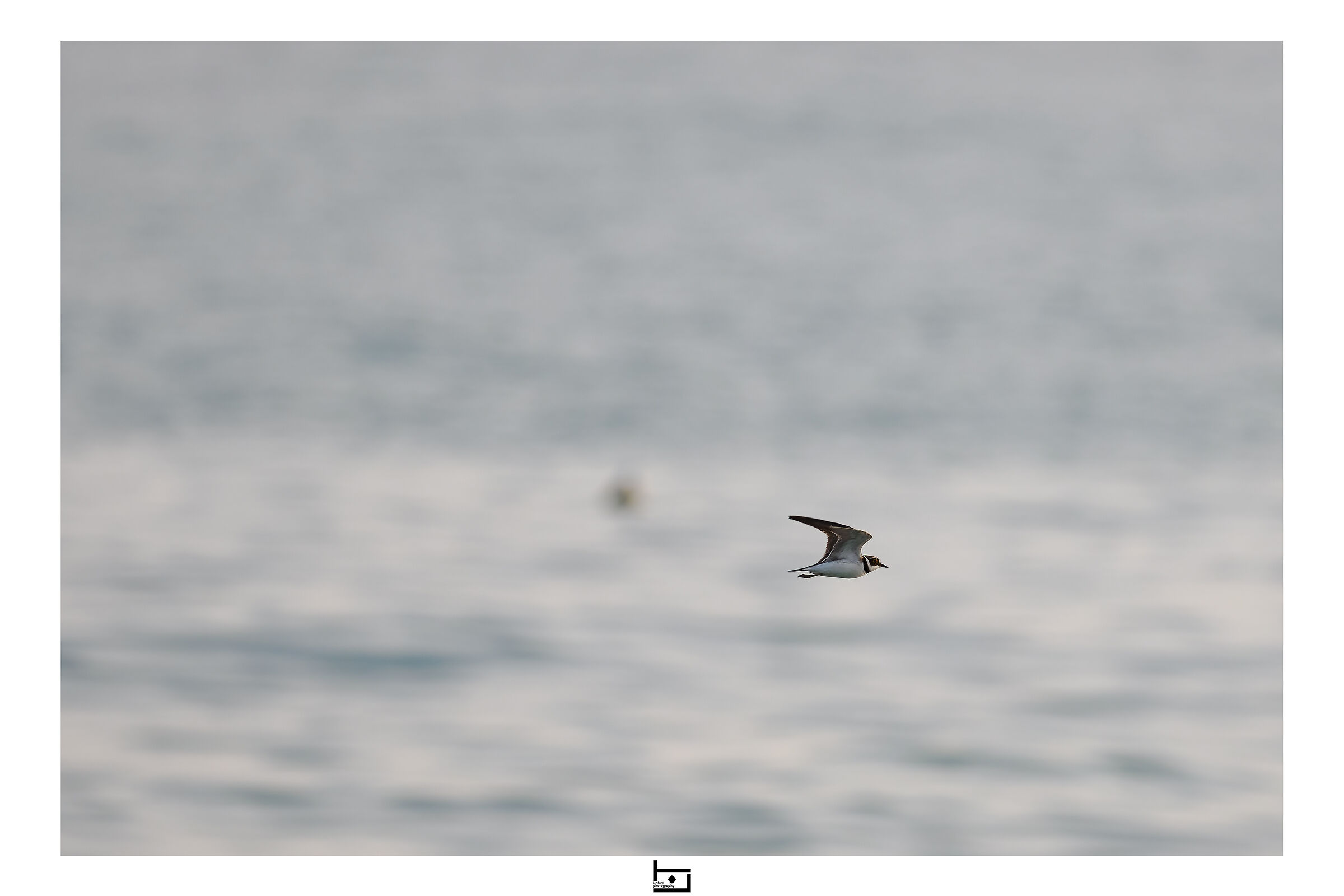 Corriere piccolo in volo