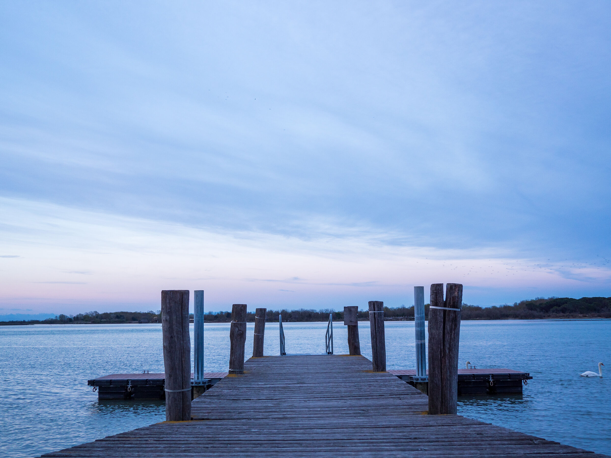 Pontile di legno