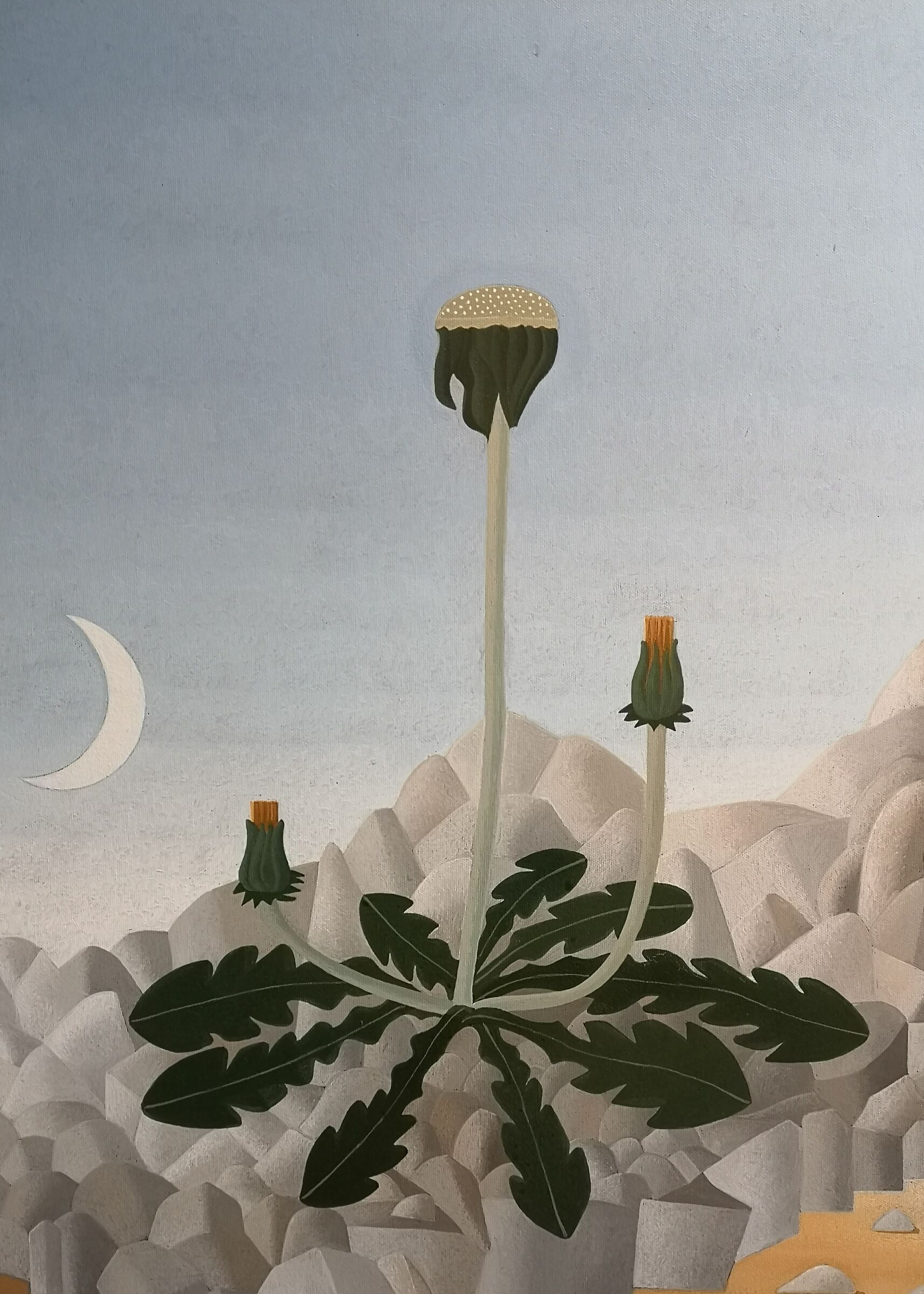 Alessandro Ciulli - Peccioli