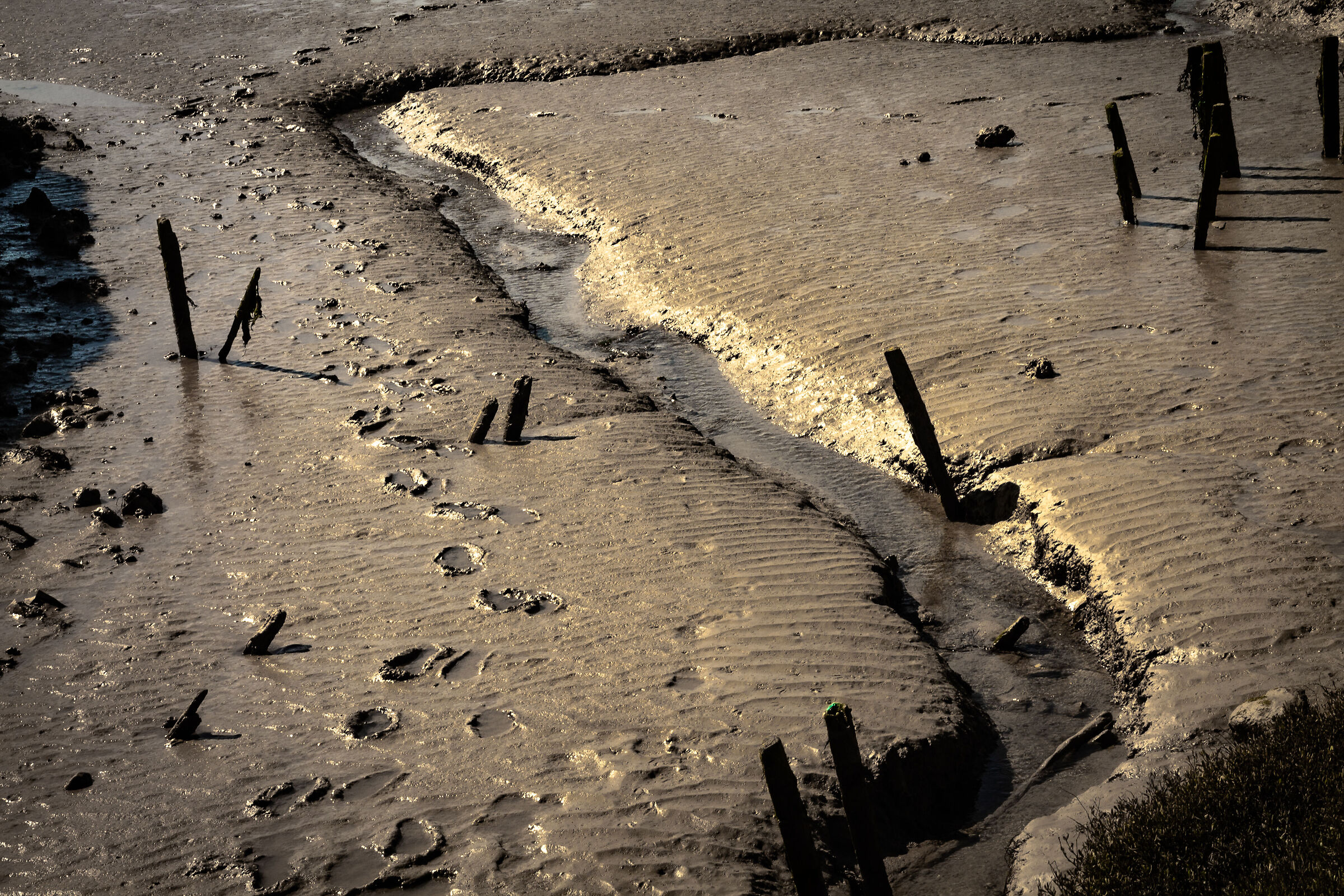 Mud - Canon EOS 1100D f18 1/100 ISO 100