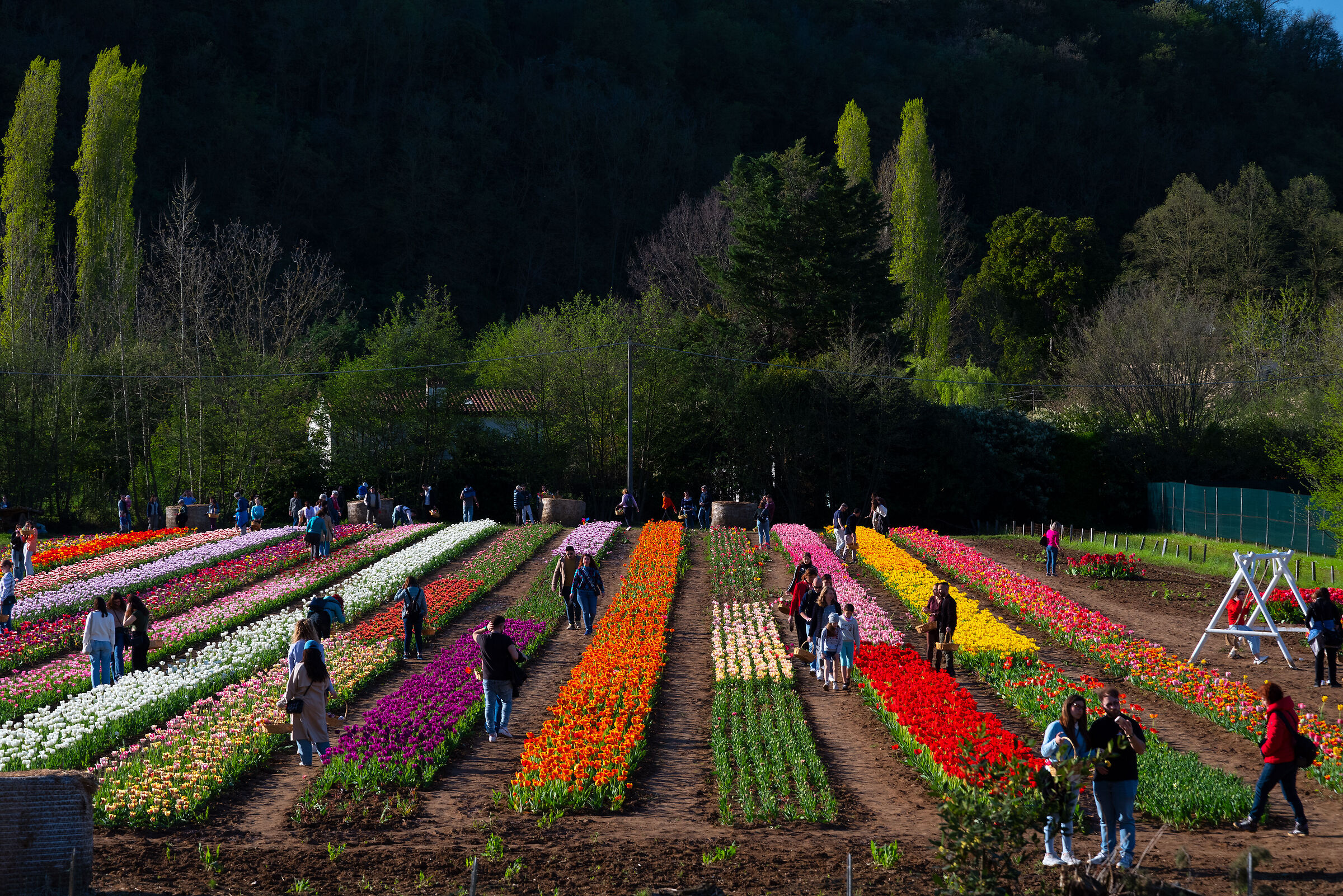 A colourful afternoon