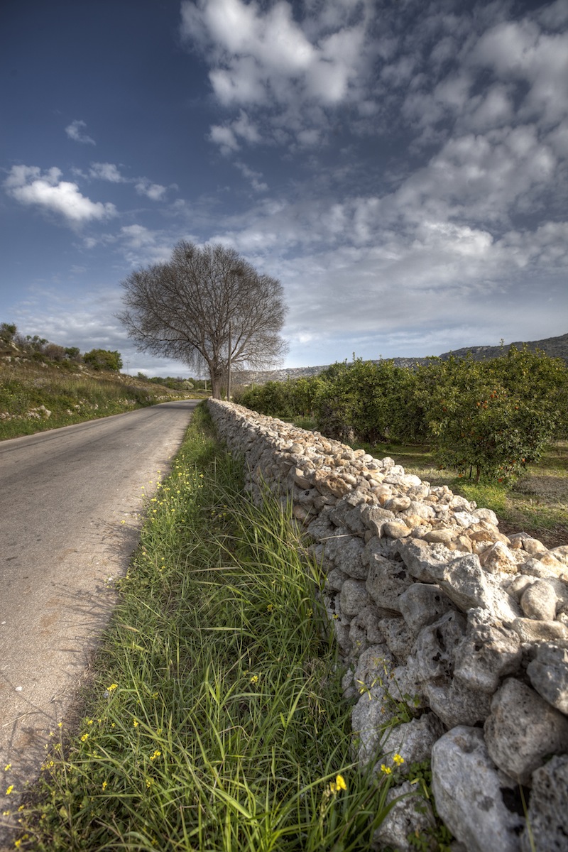 the Sicilian countryside