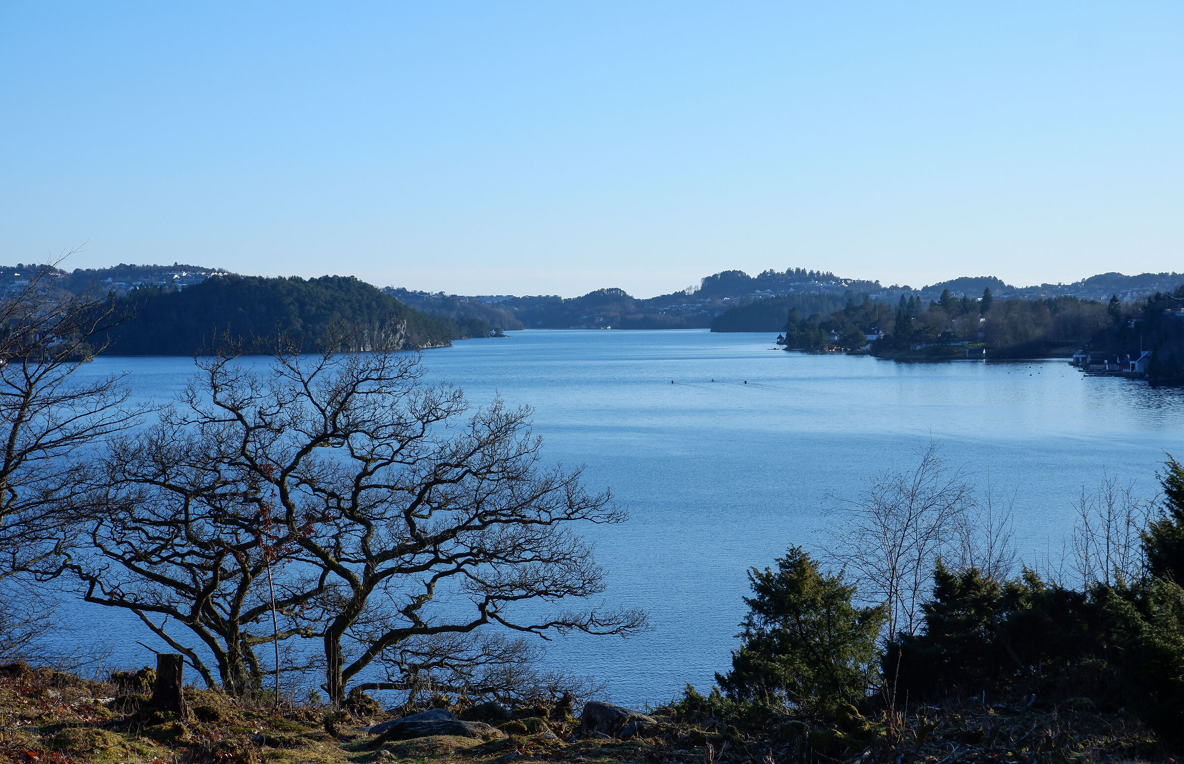 Rowing on the fjord