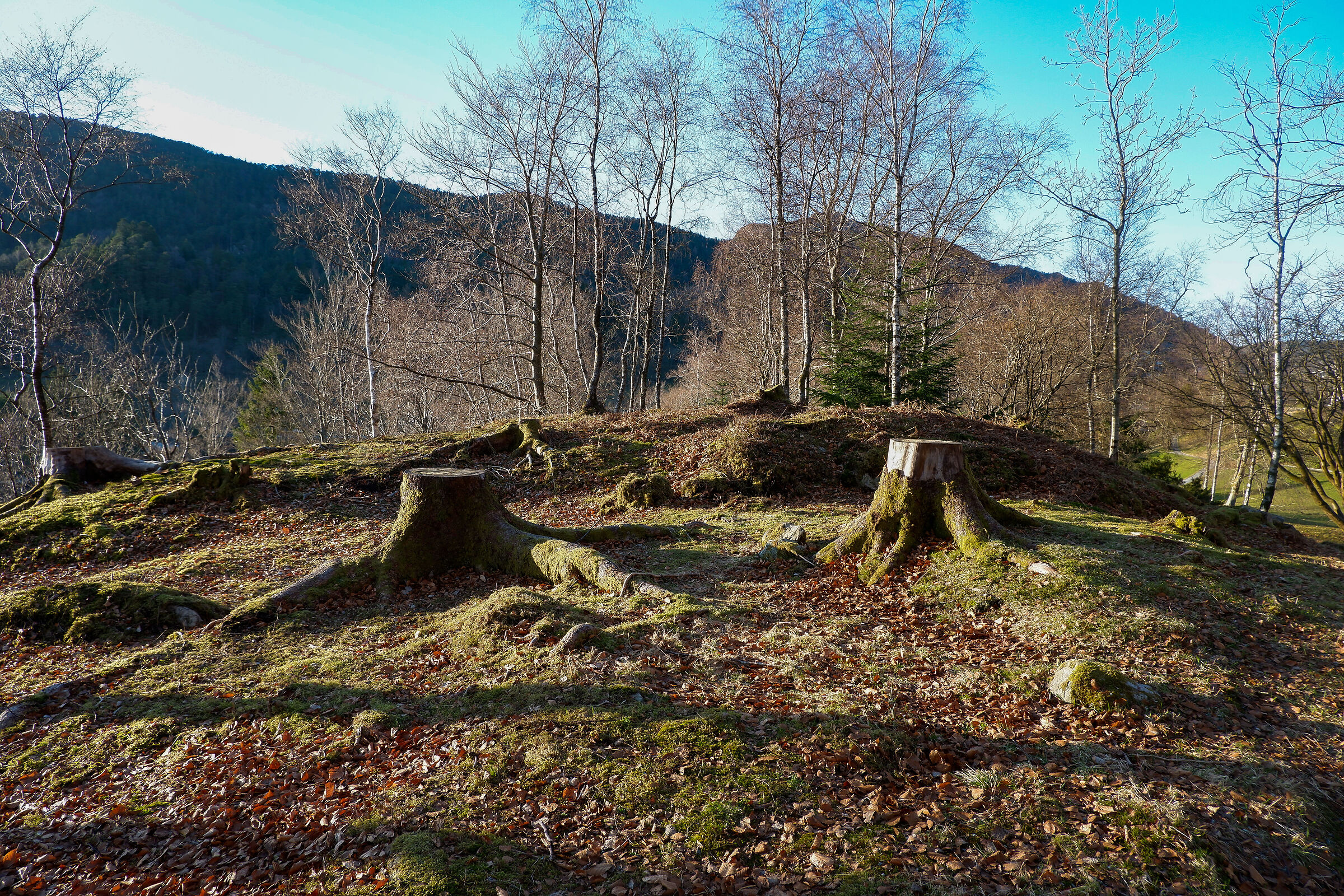 Norway2