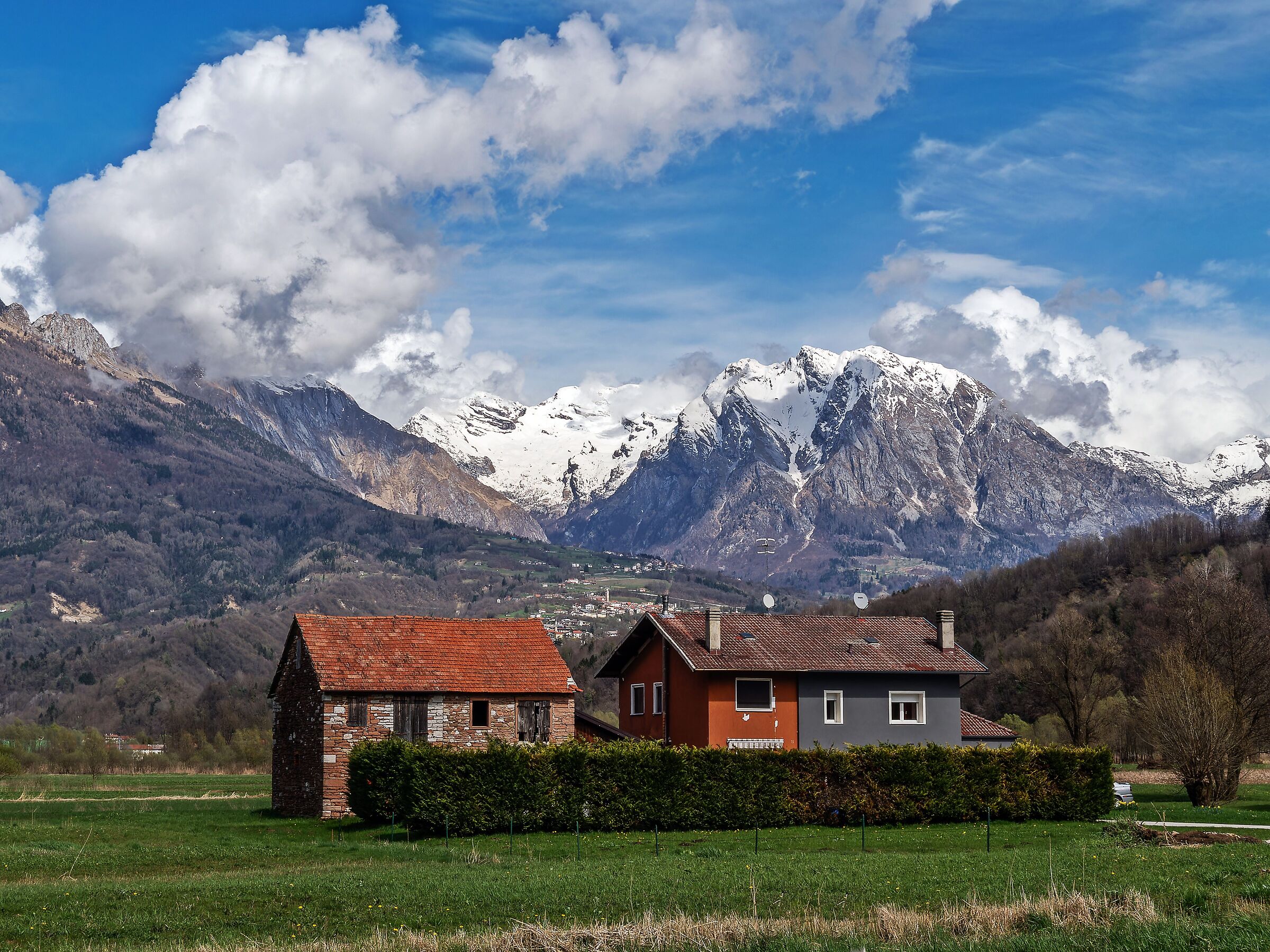 Alpago