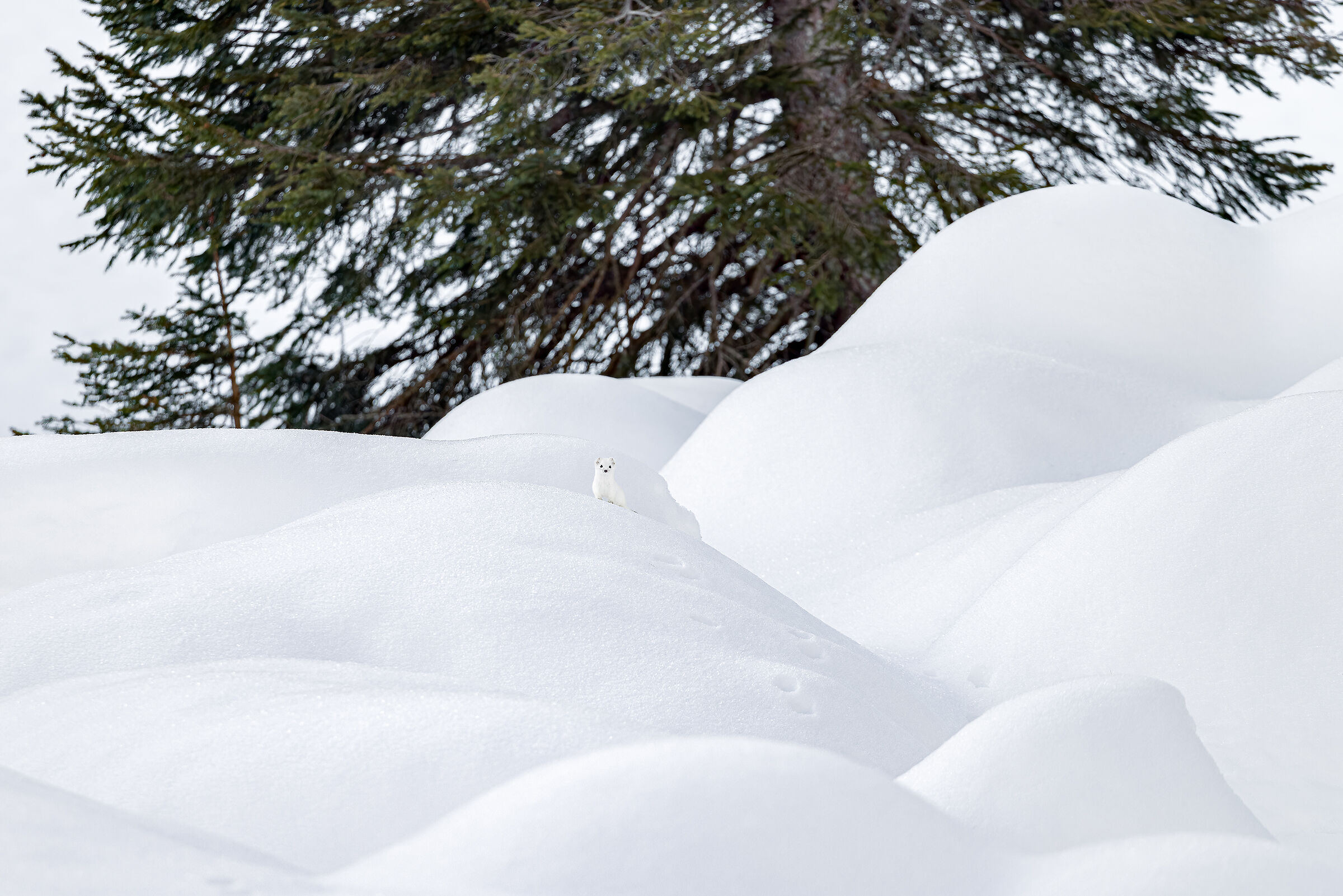 Winter environment