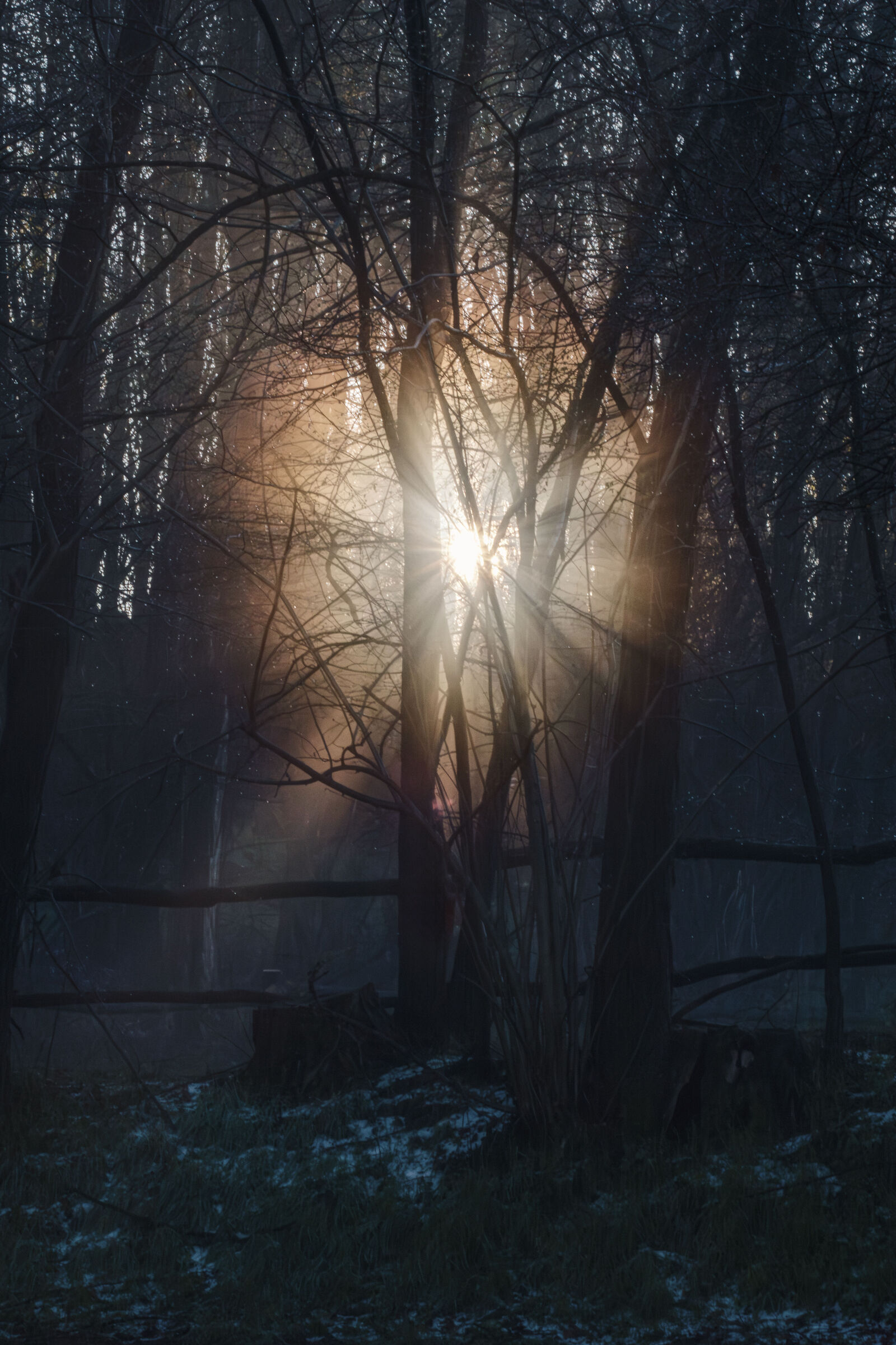 The Lagoni Park (Arona-NW): magical sunrise