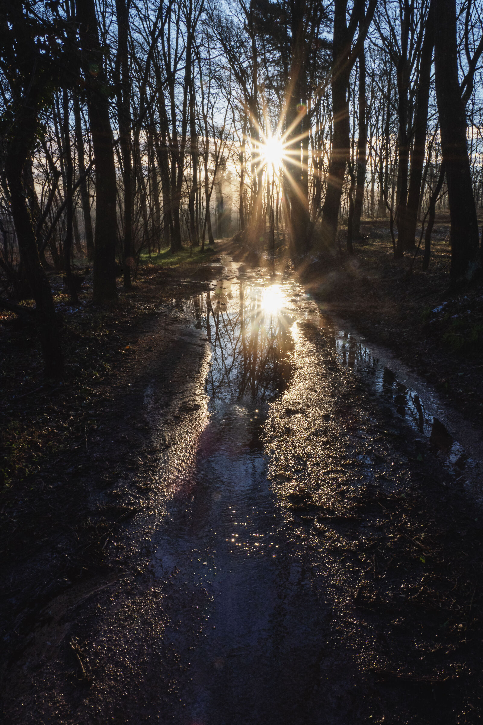 The Lagoni Park (Arona-NW): magical sunrise