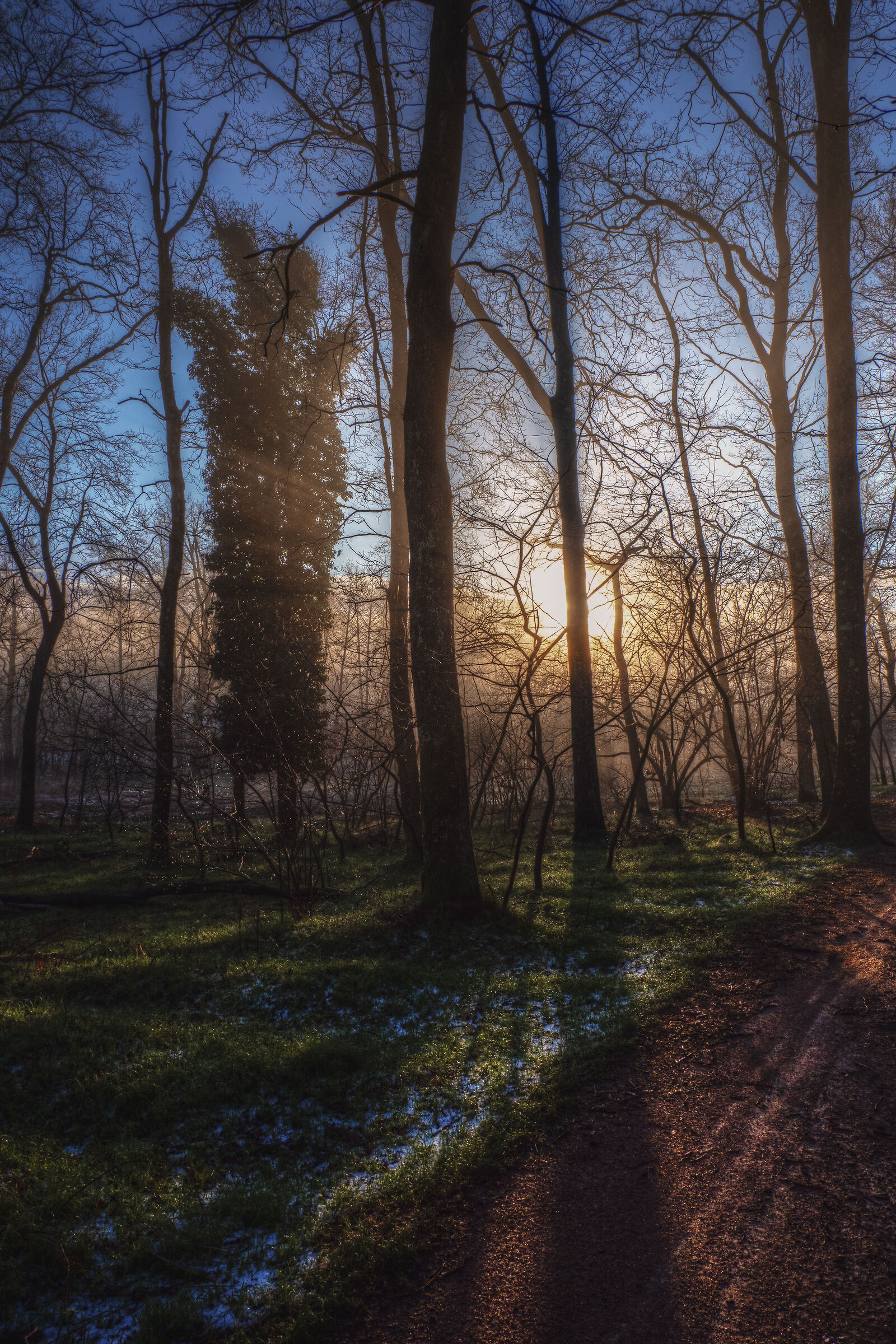 The Lagoni Park (Arona-NW): magical sunrise