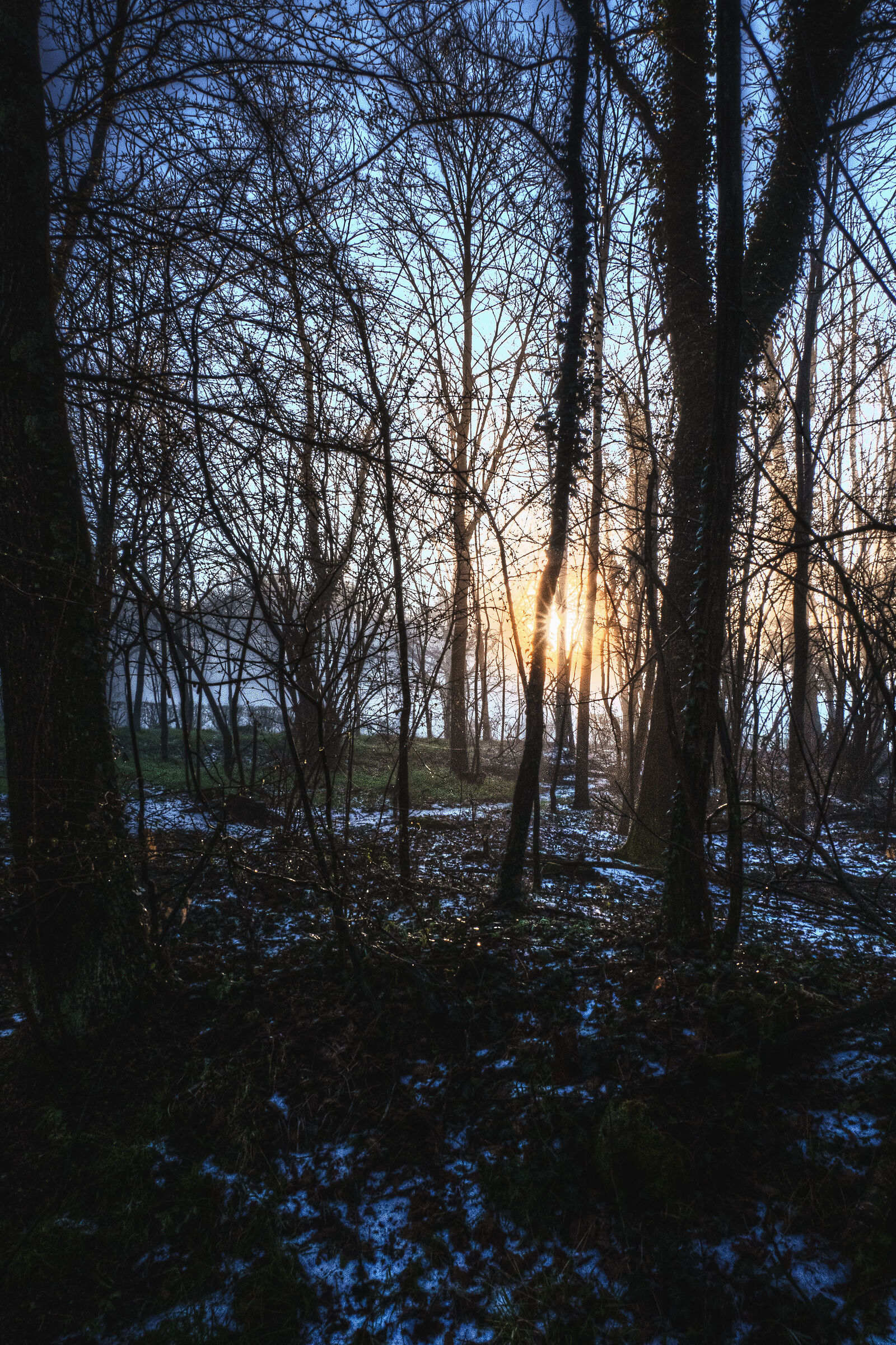 The Lagoni Park (Arona-NW): magical sunrise