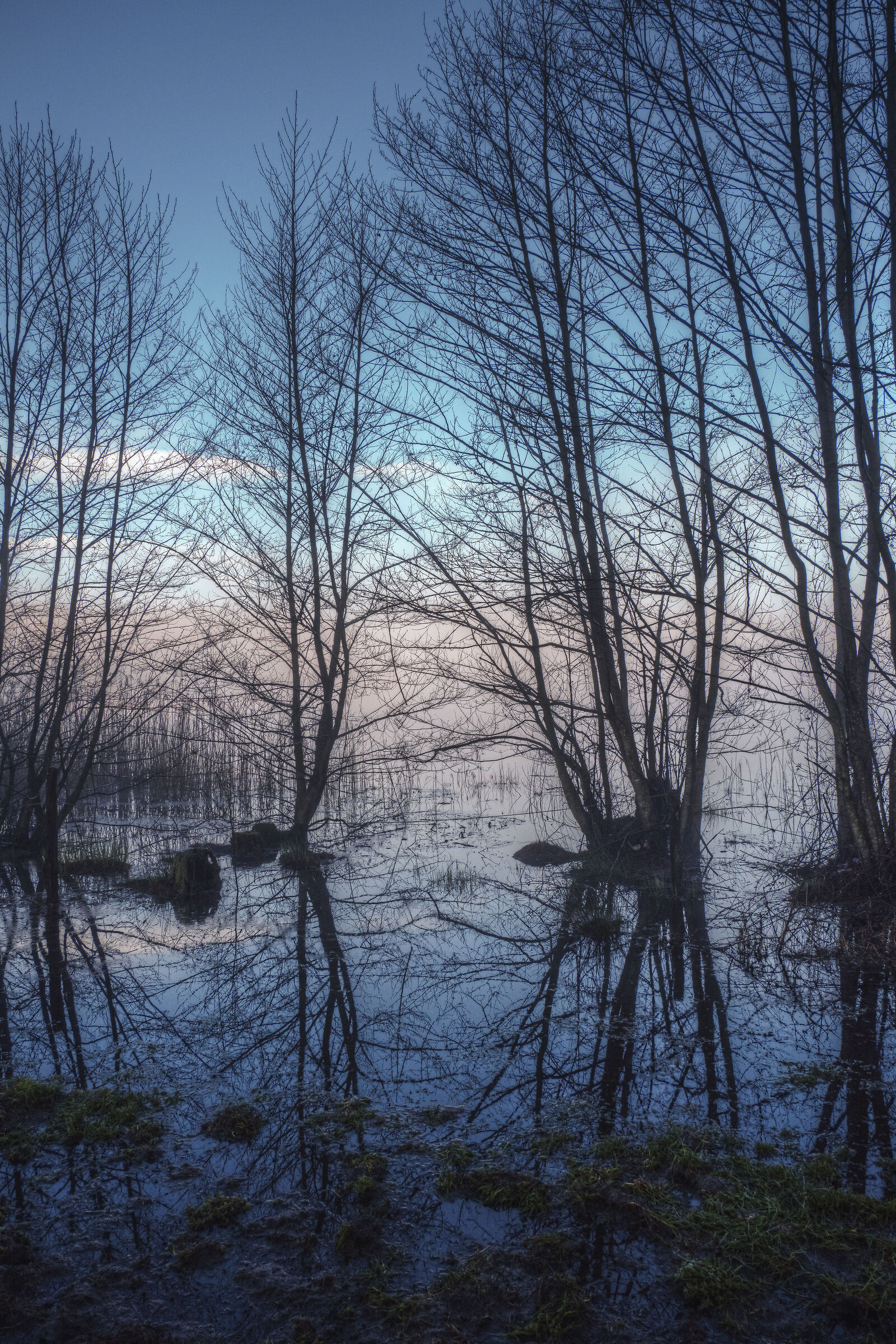 The Lagoni Park (Arona-NW): magical sunrise