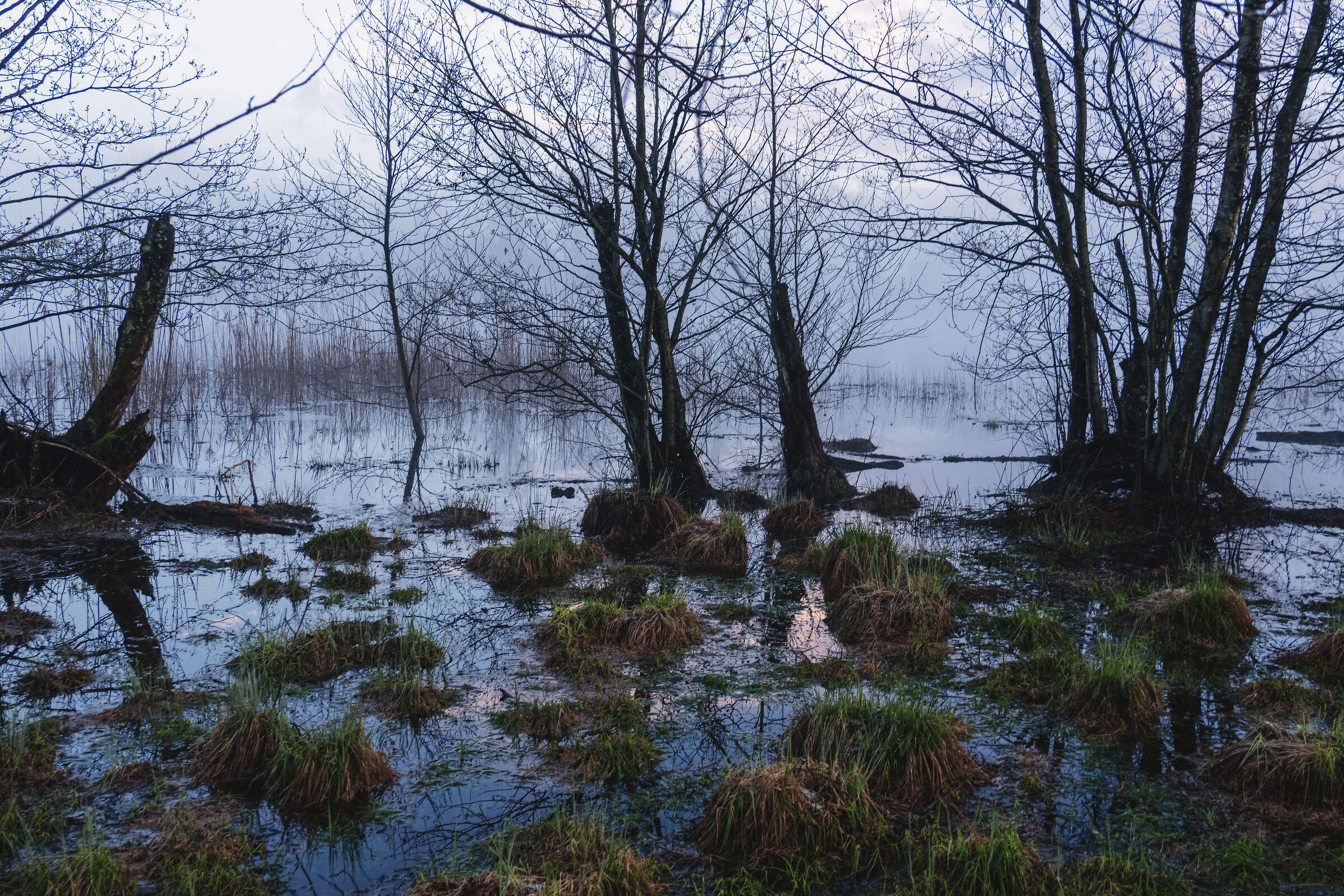 The Lagoni Park (Arona-NW): magical sunrise