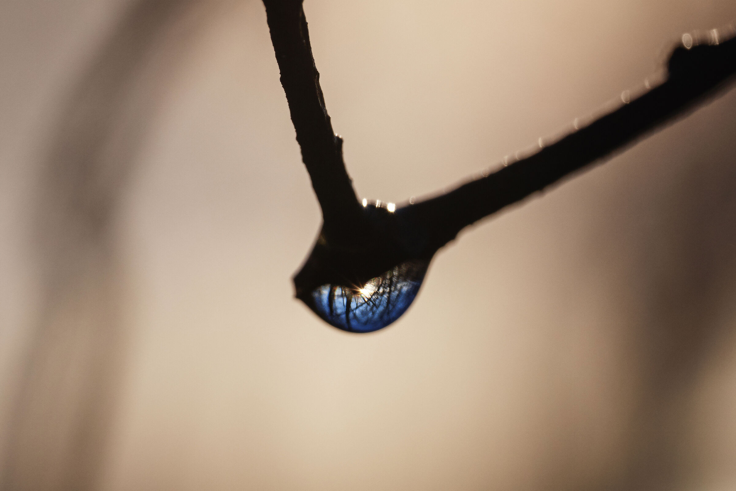 The Lagoni Park (Arona-NW): magical sunrise