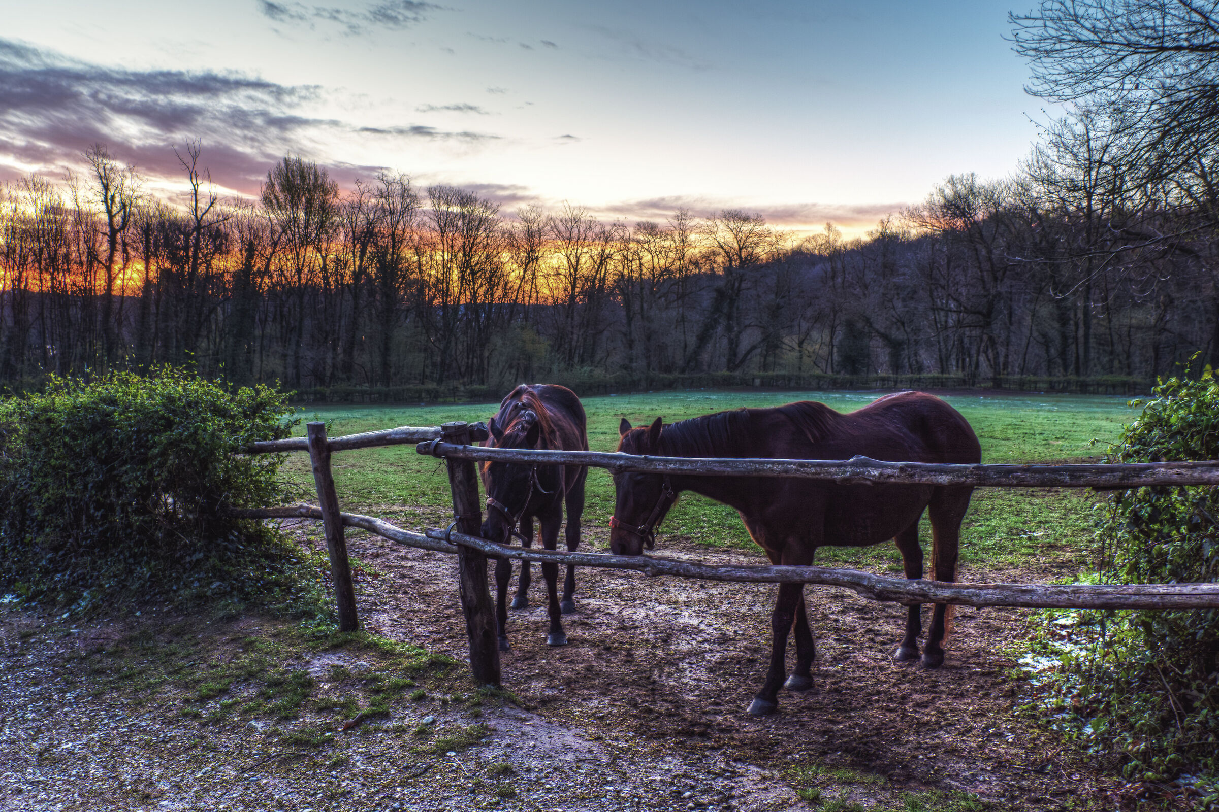 The Lagoni Park (Arona-NW): magical sunrise