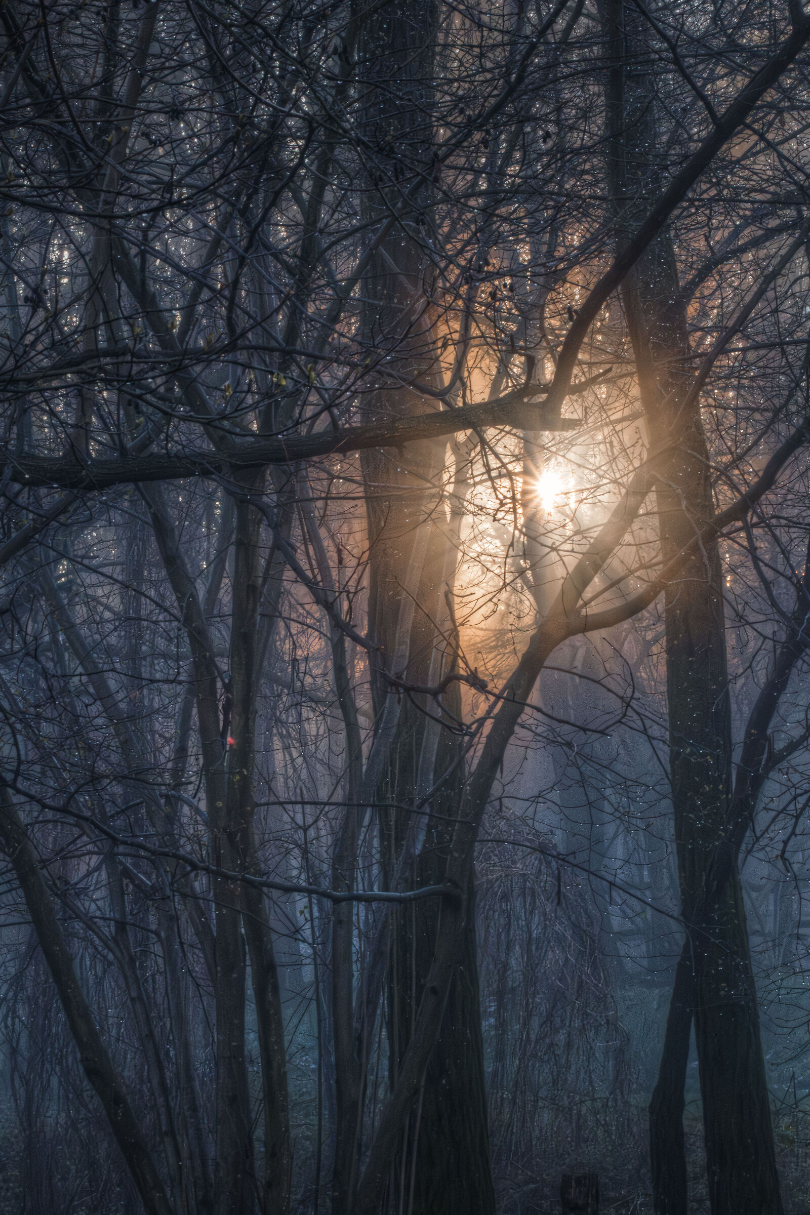 The Lagoni Park (Arona-NW): magical sunrise