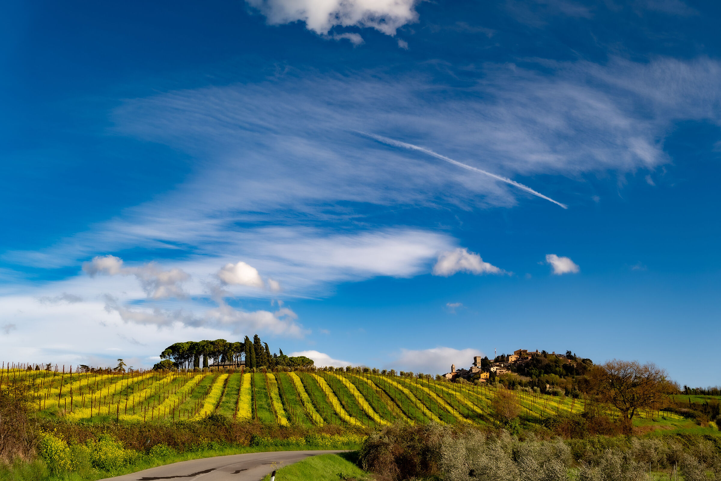 Primavera alle porte