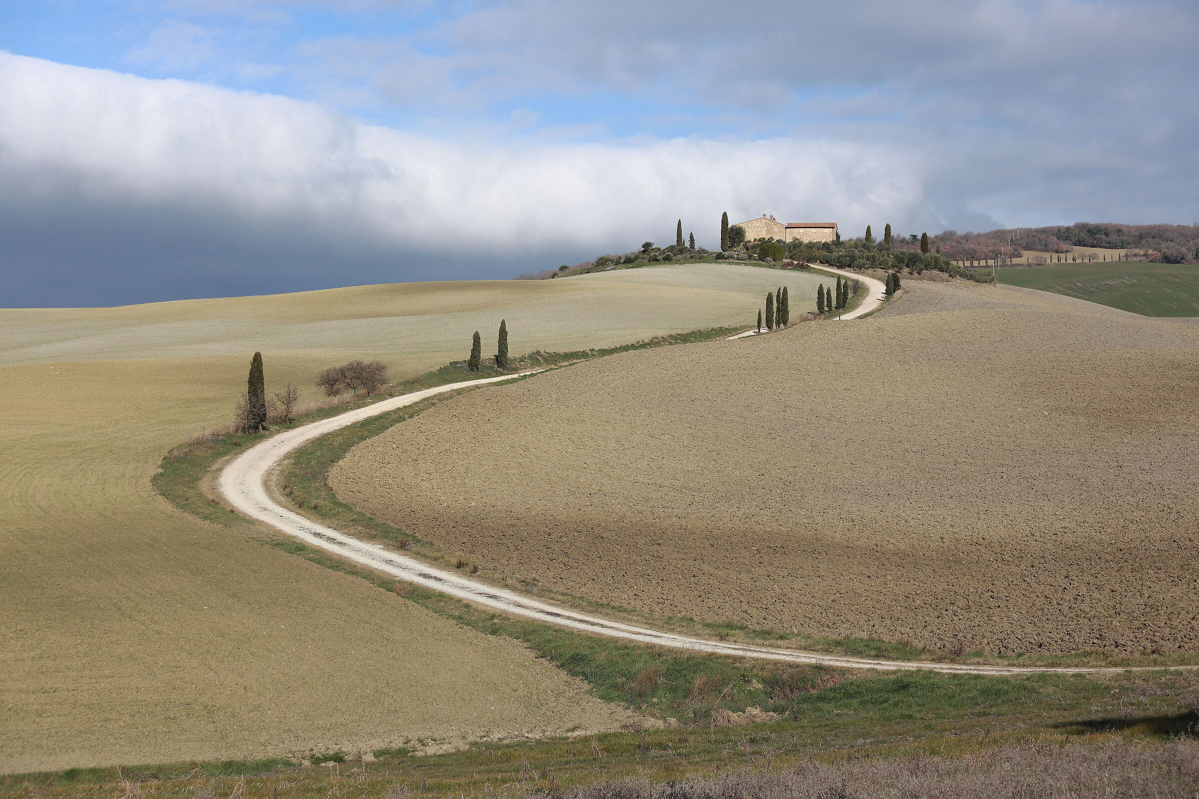 Living in harmony ...