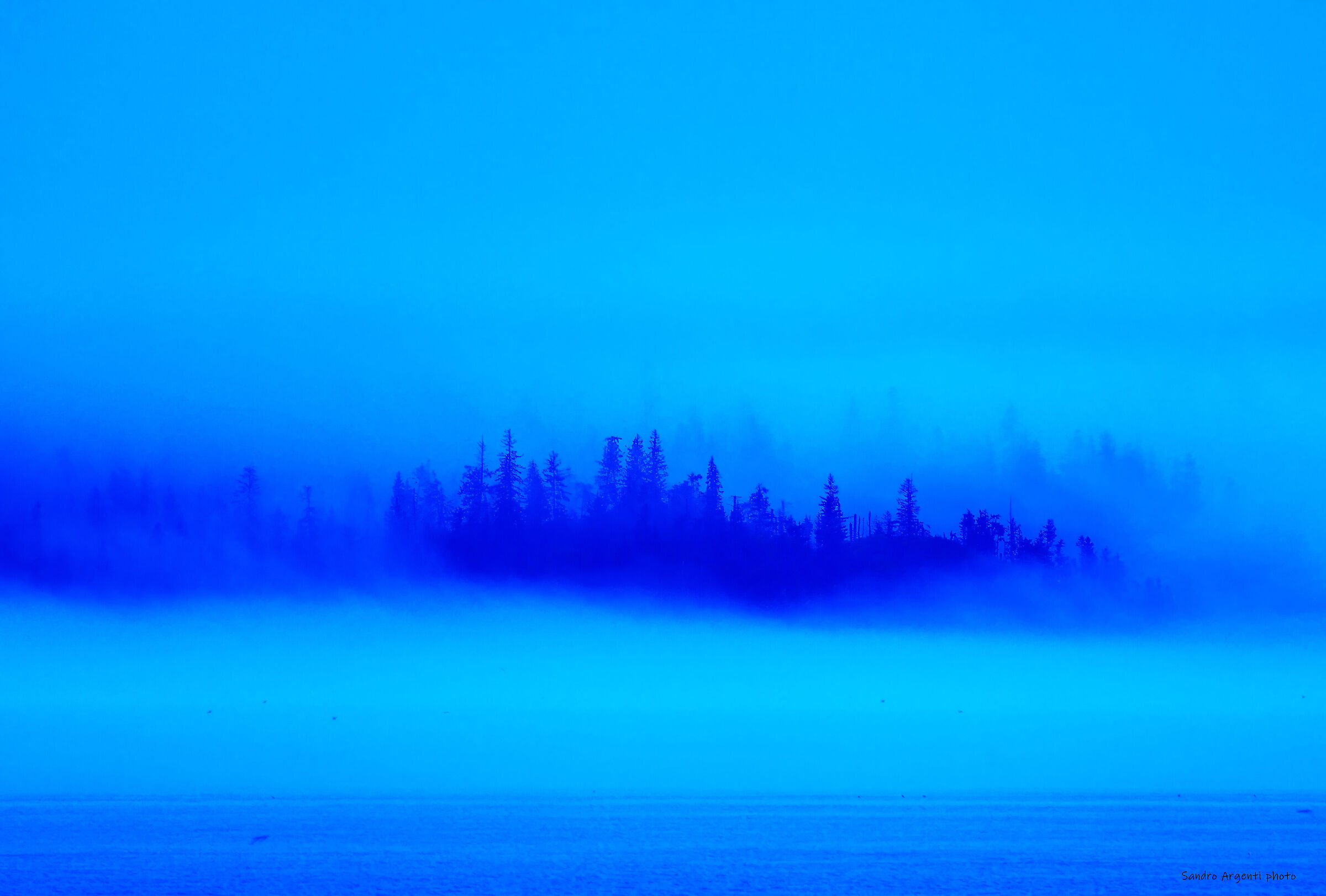 Mare, foreste, nebbie, l'atmosfera dell'Alaska