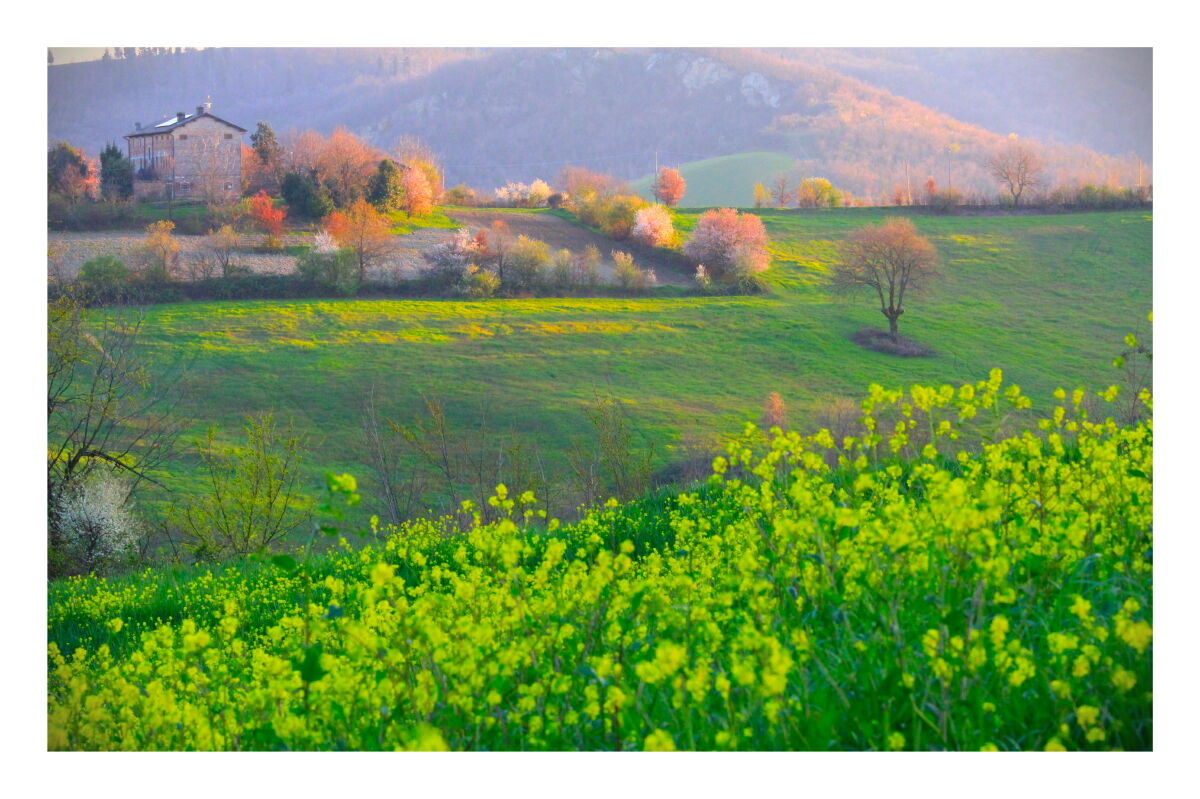Impressioni di Primavera dalle mie parti
