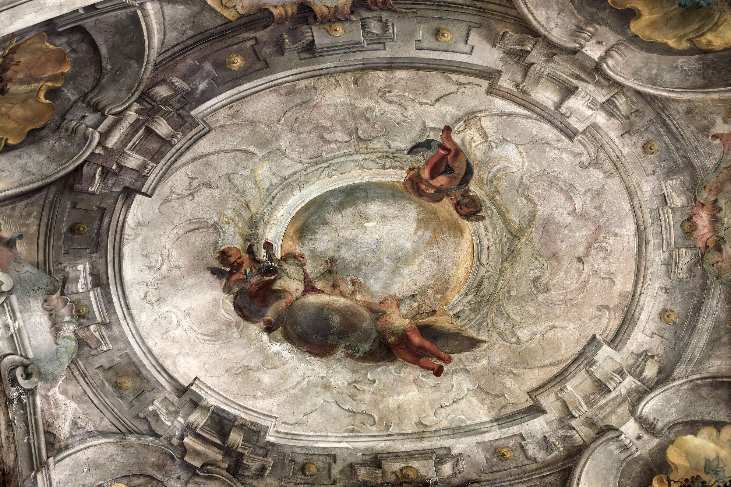 Oval ceiling