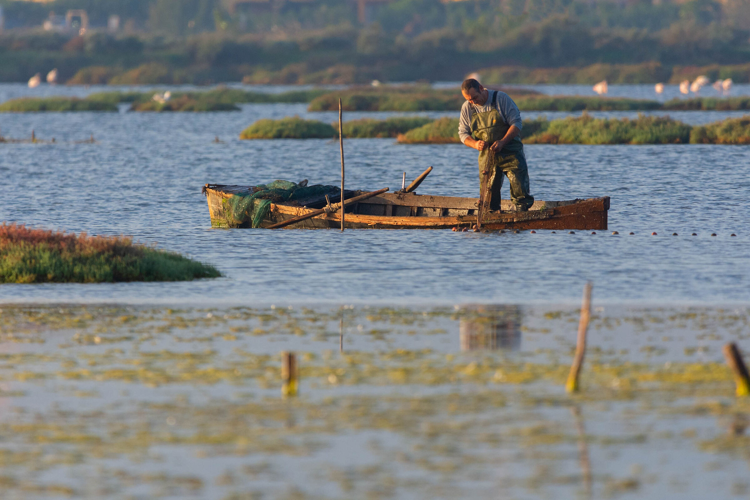 The fisherman