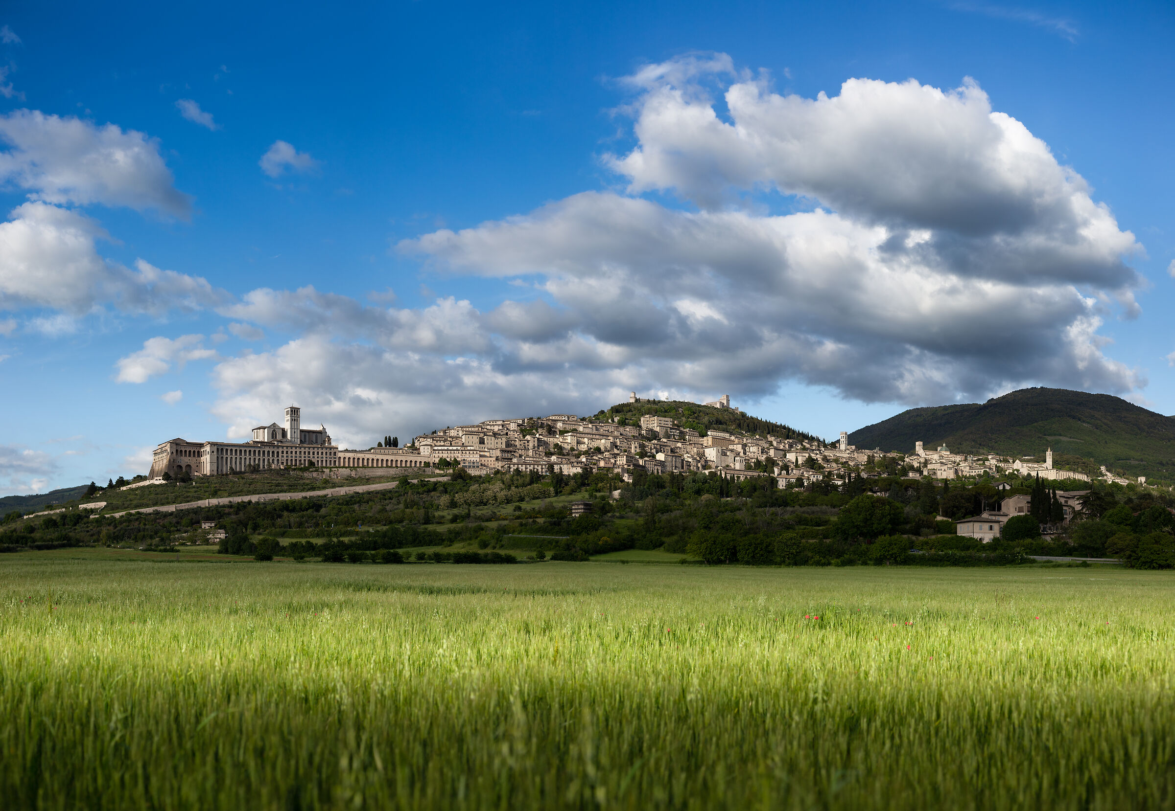 Nuvole proteggono Assisi